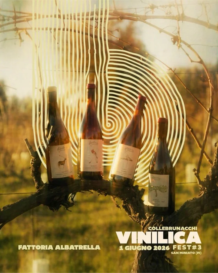 &bull;⁠ ⁠VIGNAIOLI A VINILICA &bull; 1 GIUGNO 2026

Fattoria Albatrella @fattoria.albatrella 
Marco e Margaux guidano la Fattoria Albatrella a Torrita di Siena, dove la terra si lavora ancora con rispetto e lentezza. Tra agricoltura rigenerativa e tr