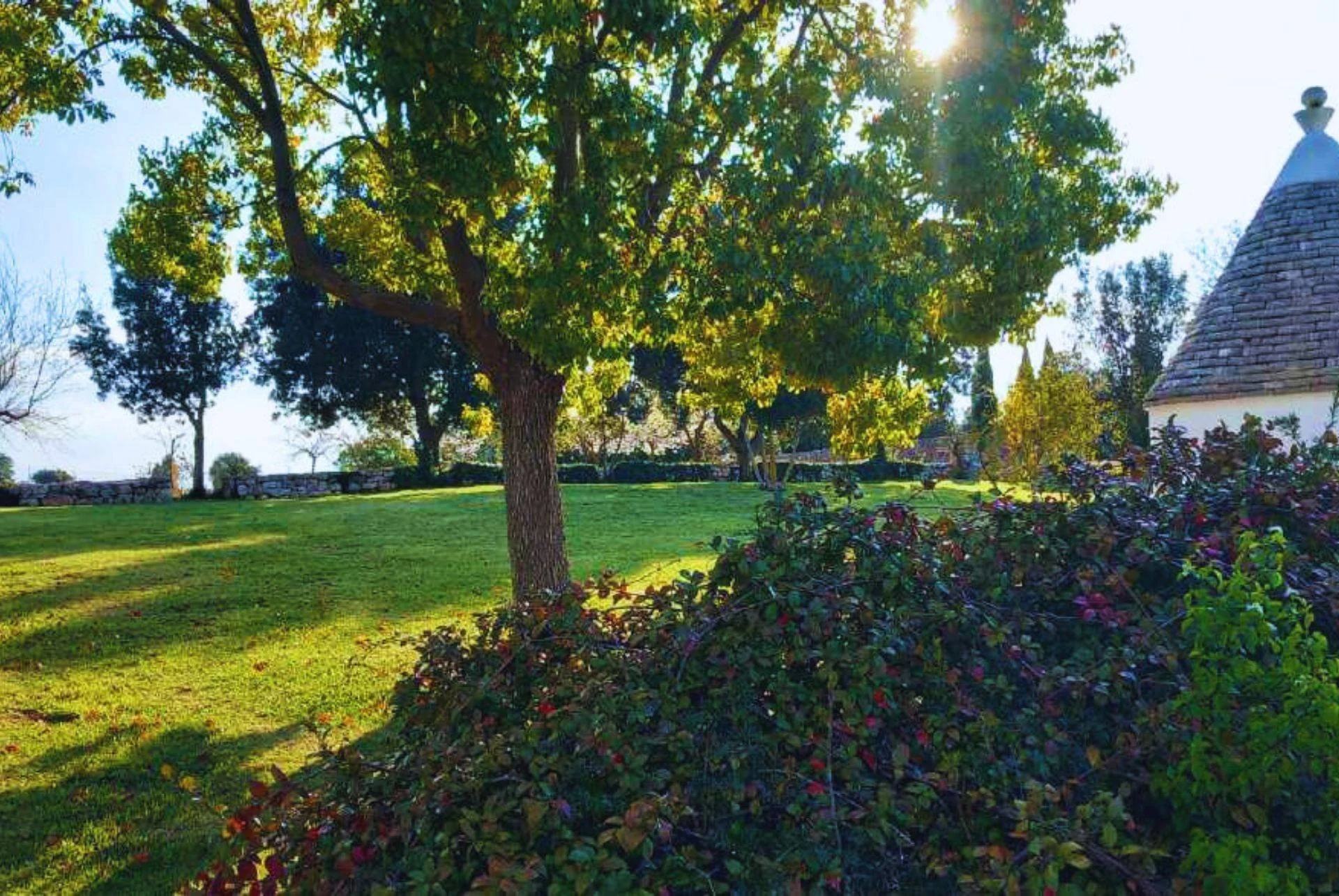 Sunlit green lawn with a large tree, bushes, and a stone wall in the background, and a small building with a conical roof on the right.