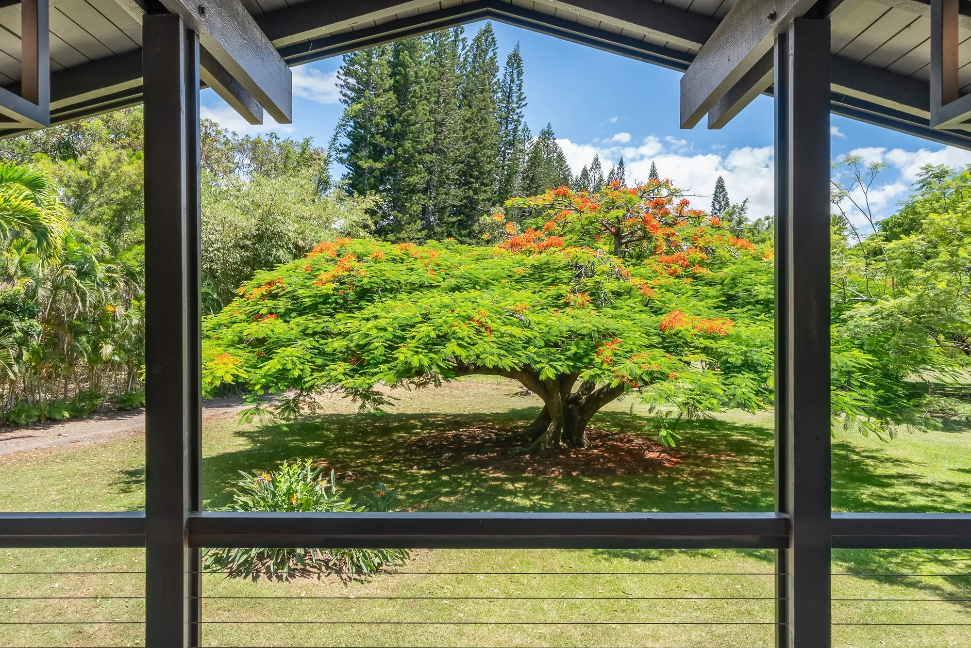 Tropical garden and flowering trees viewed from a Maui residence in Haiku, Hawaii, presented by Eva Besselmann.