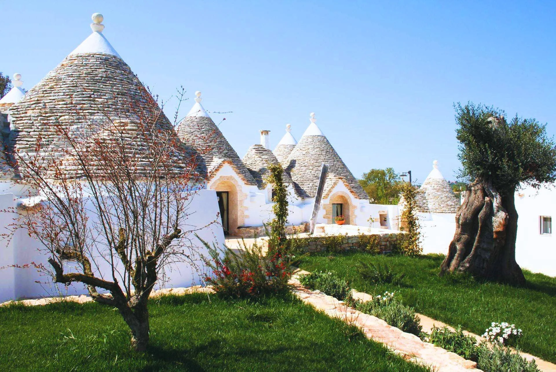 Eva Besselmann – connecting investors to ESG and legacy-based opportunities worldwide.