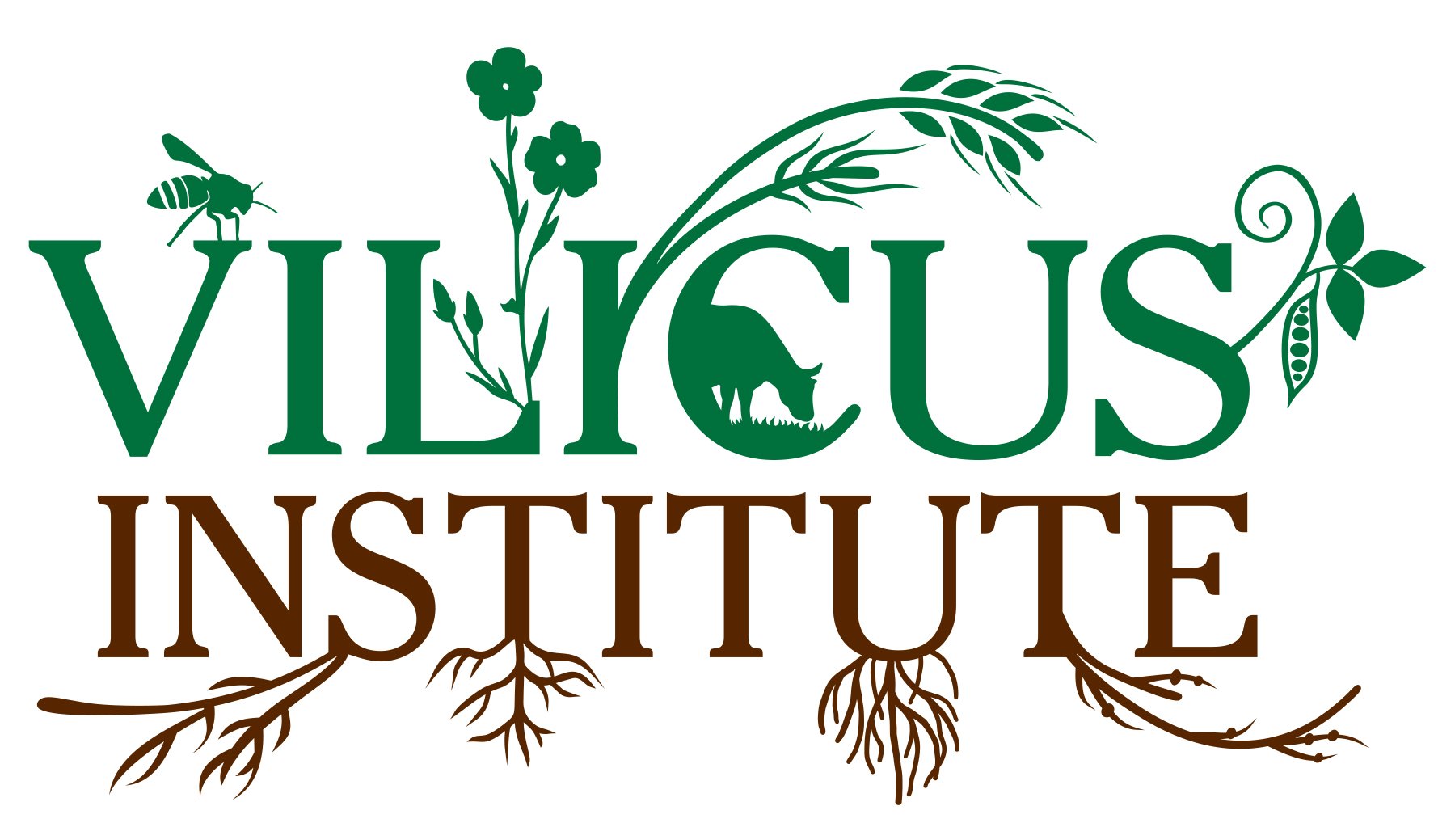 VilicusInstitute_Logo_RGB (2).jpg