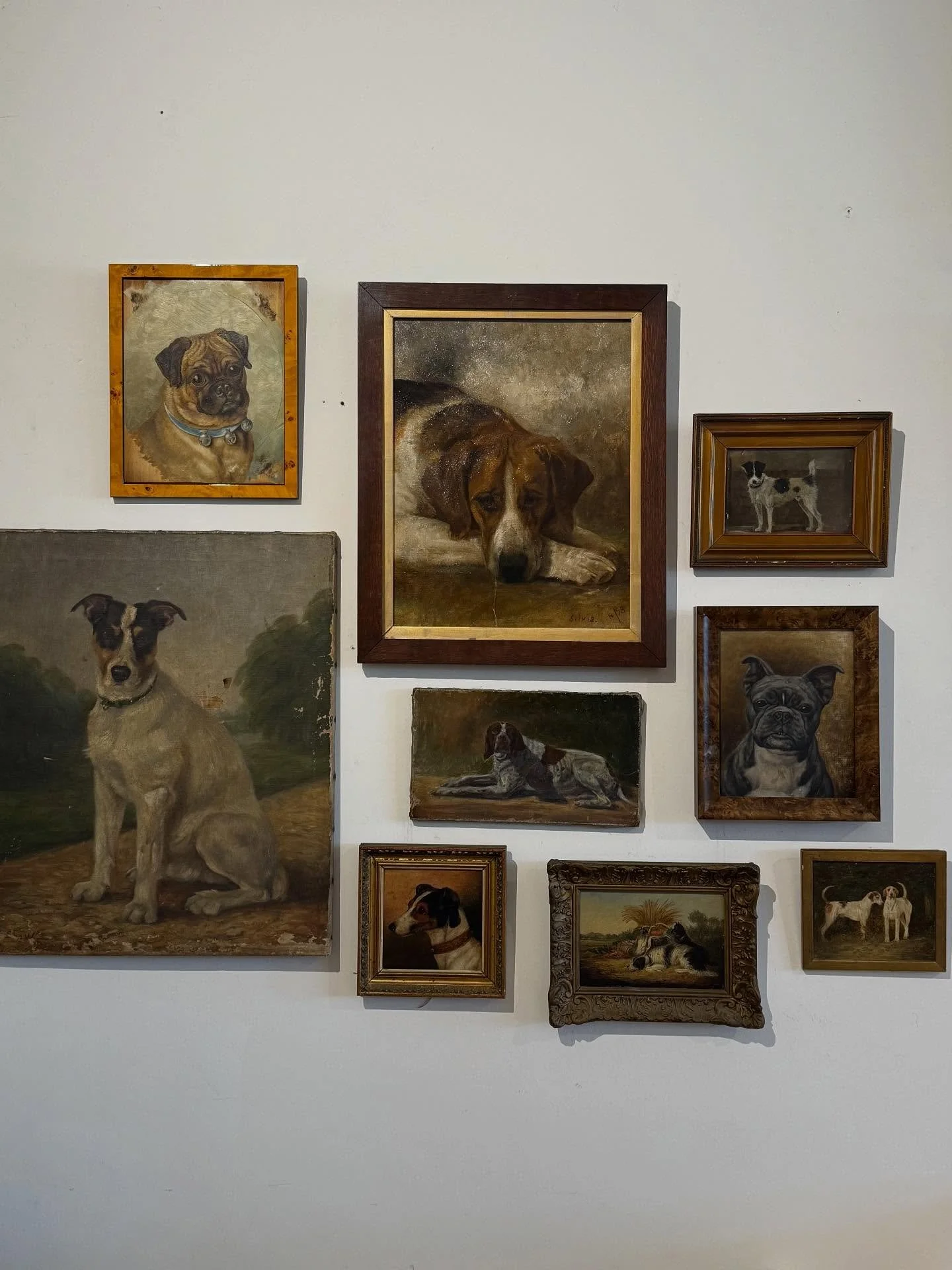 Old souls, furry faces, timeless brushstrokes 🐾

#antique #antiquerowwpb #oilportrait #dogart