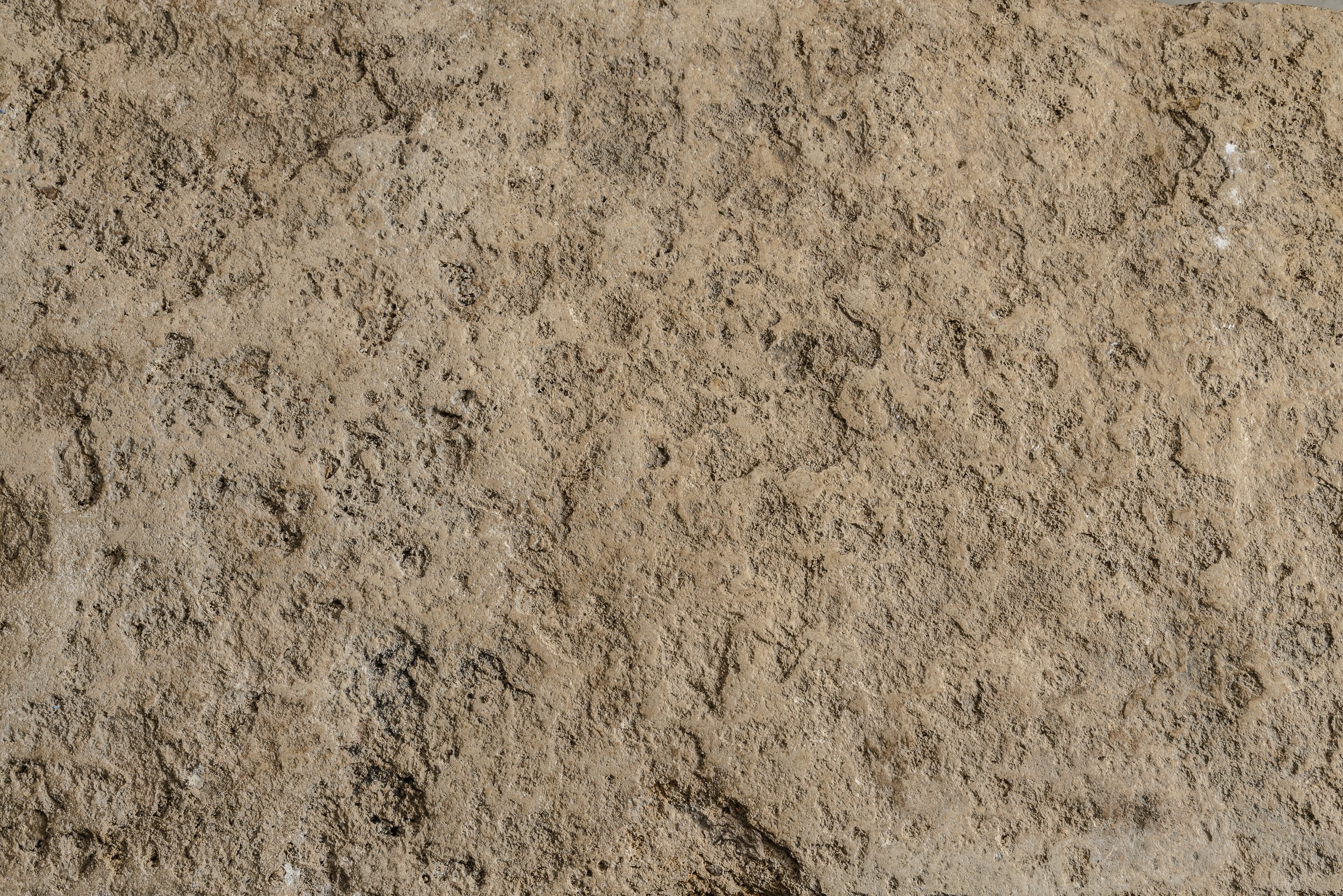 Faustina May#1_25-0267.jpg