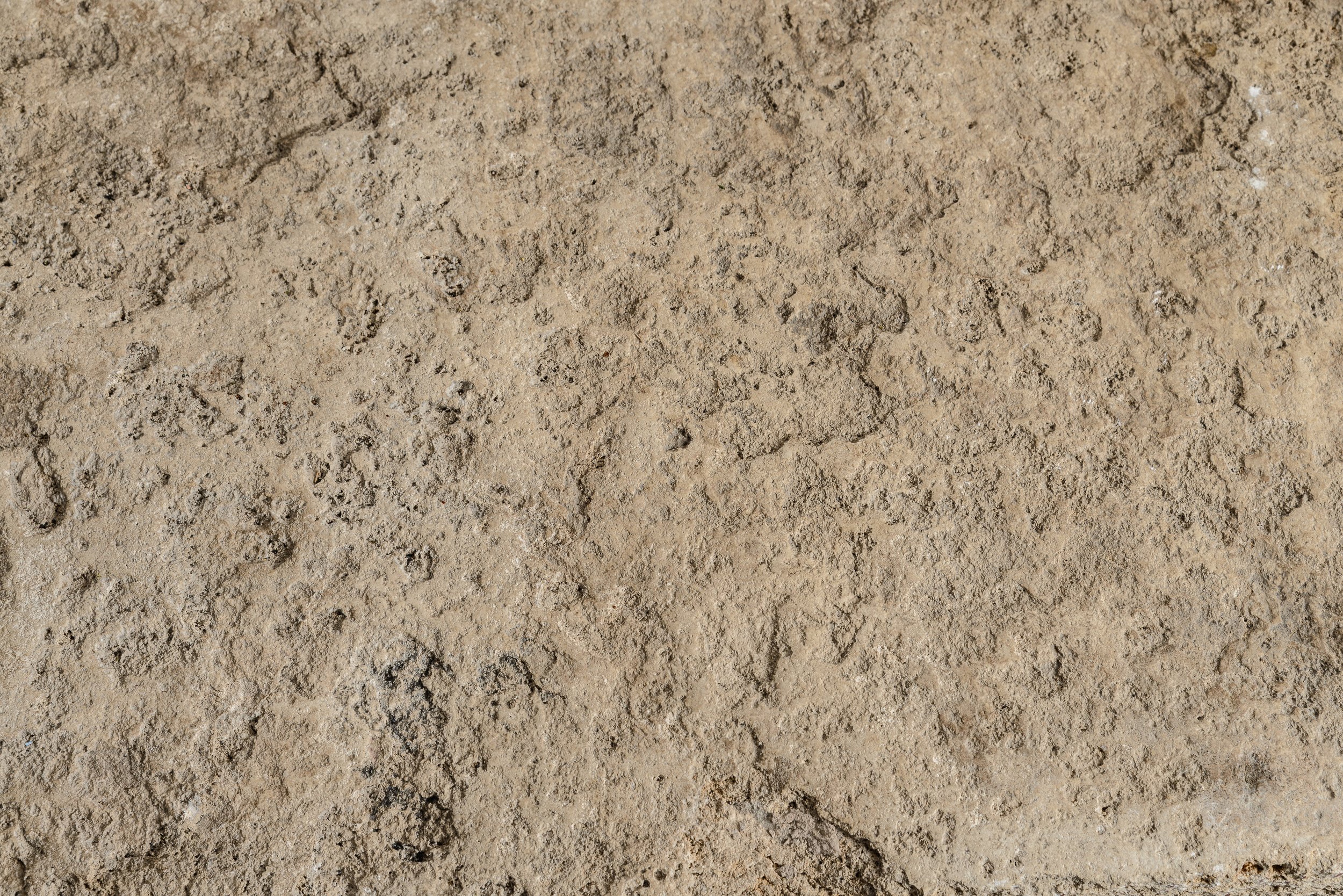 Faustina May#1_25-0256.jpg