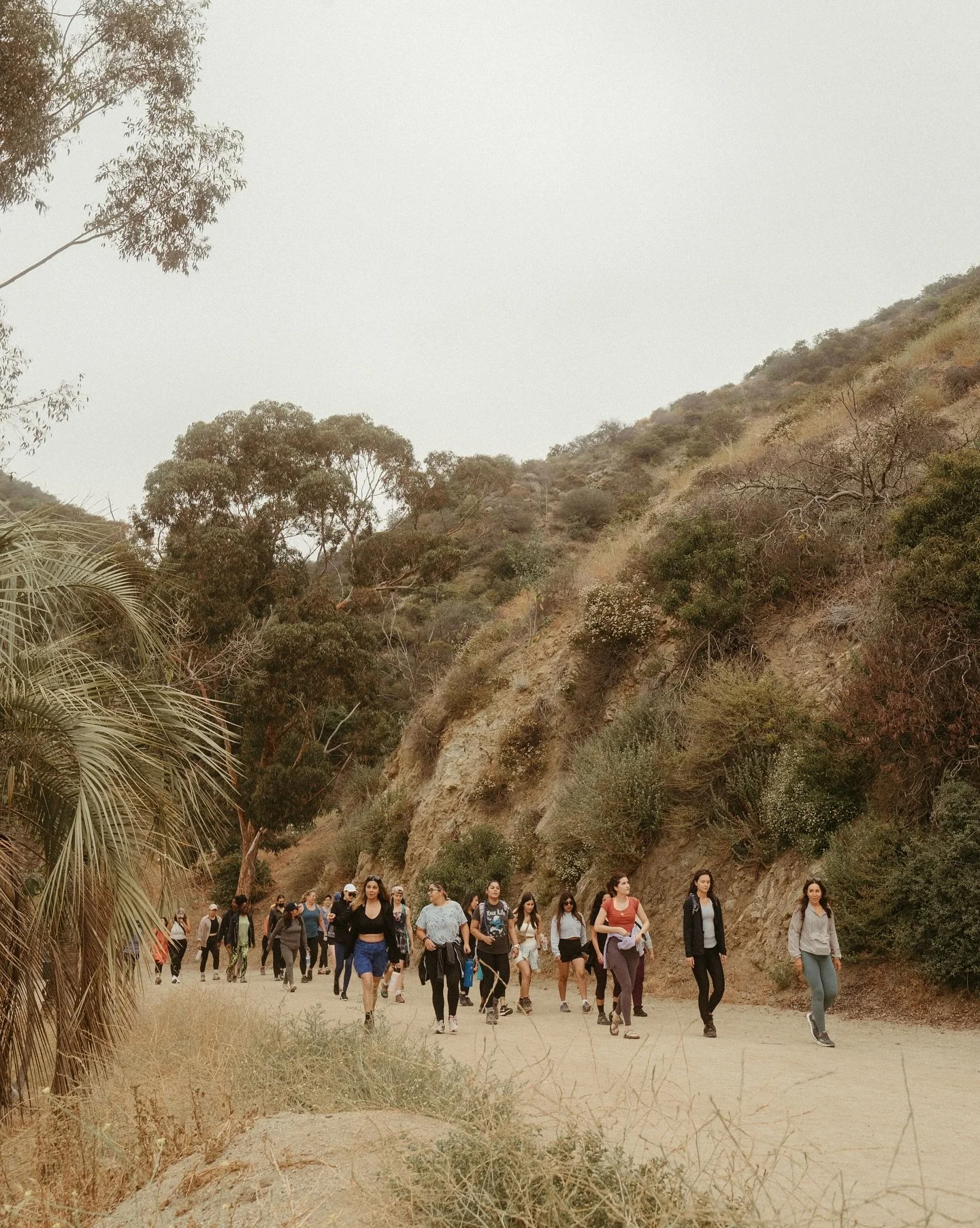 REMINDER❣️ Our next Beginner Hike is tomorrow!
If you&rsquo;ve been wanting to get outside, move your body, and meet new friends &mdash; don&rsquo;t overthink it, just show up! 💛 💛

It&rsquo;s beginner-friendly, free to join, and so many girls come