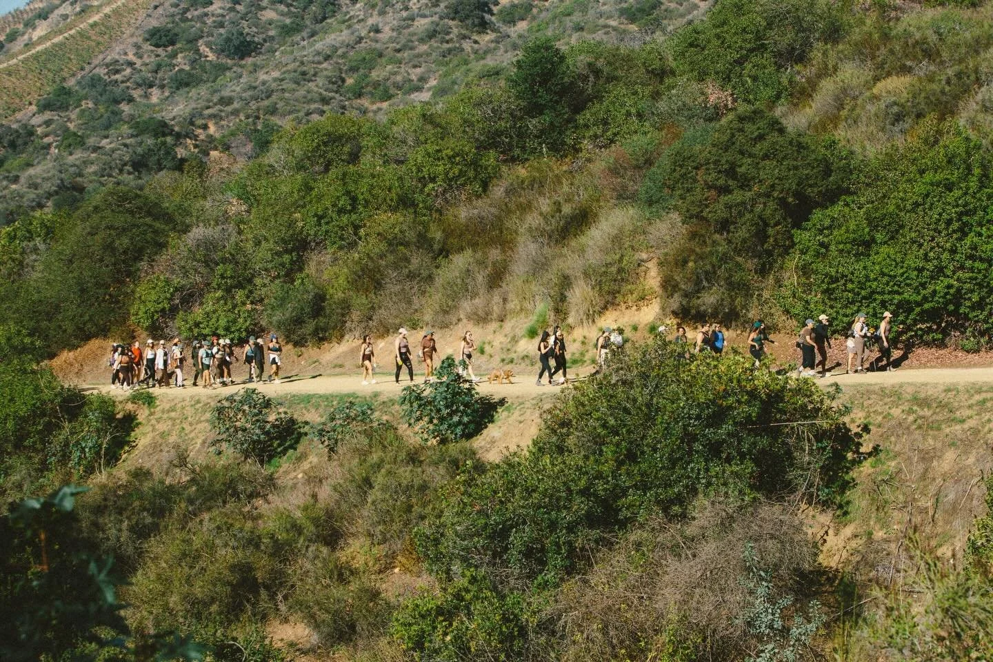 HOT GIRL HIKE &mdash; NEW YEAR, NEW ENERGY 🥾

Let&rsquo;s be honest: if you wait to feel &ldquo;ready,&rdquo; comfortable, or like you already know someone&hellip; you&rsquo;ll stay home.
This is your nudge to show up anyway!!

We&rsquo;re kicking o