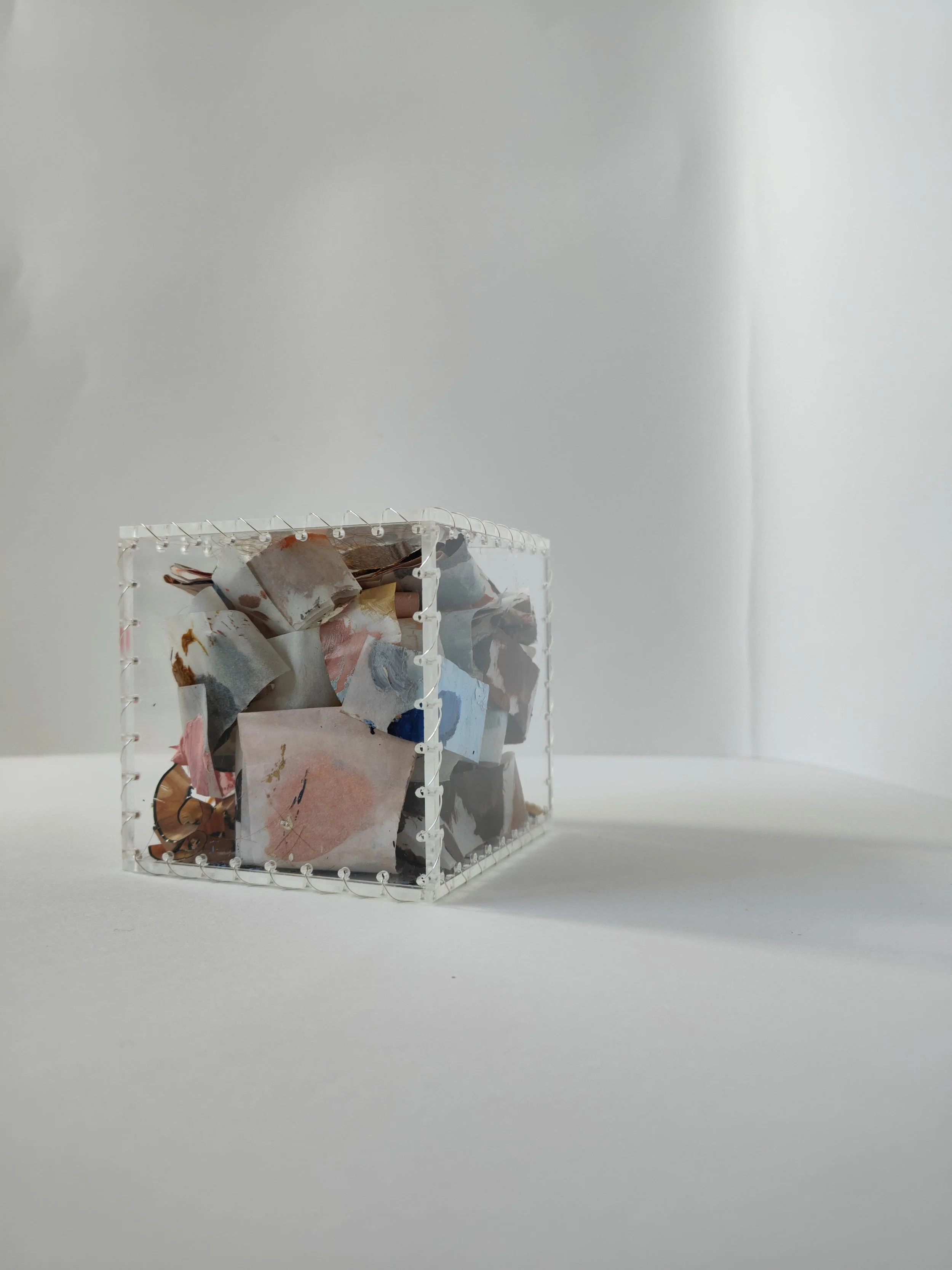 'Nature versus Nurture' 9.5cm² acrylic, wire, oil, parchment paper, pencil shavings, human hair