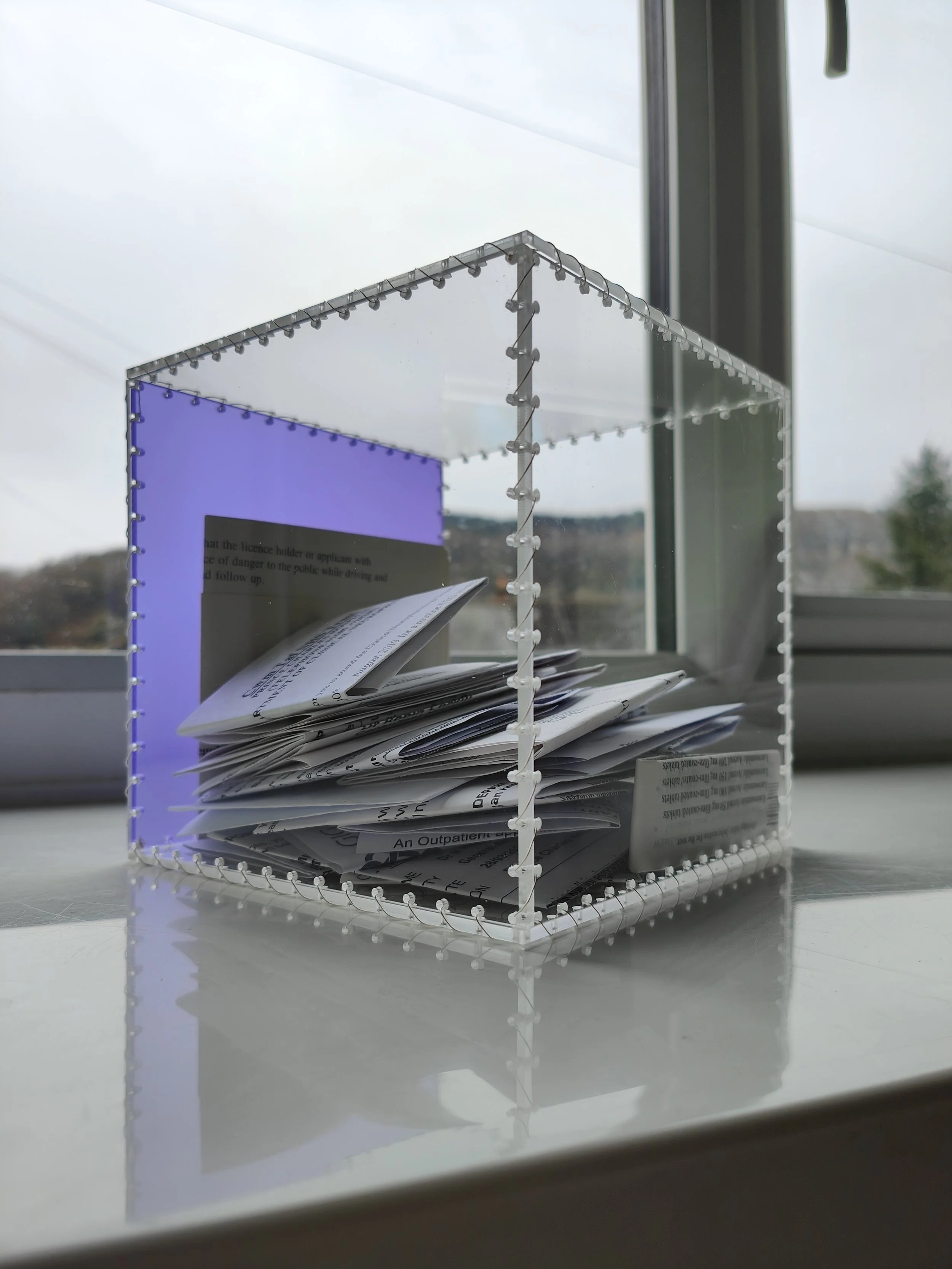 'Seize' 20cm² Acrylic, wire, documentation