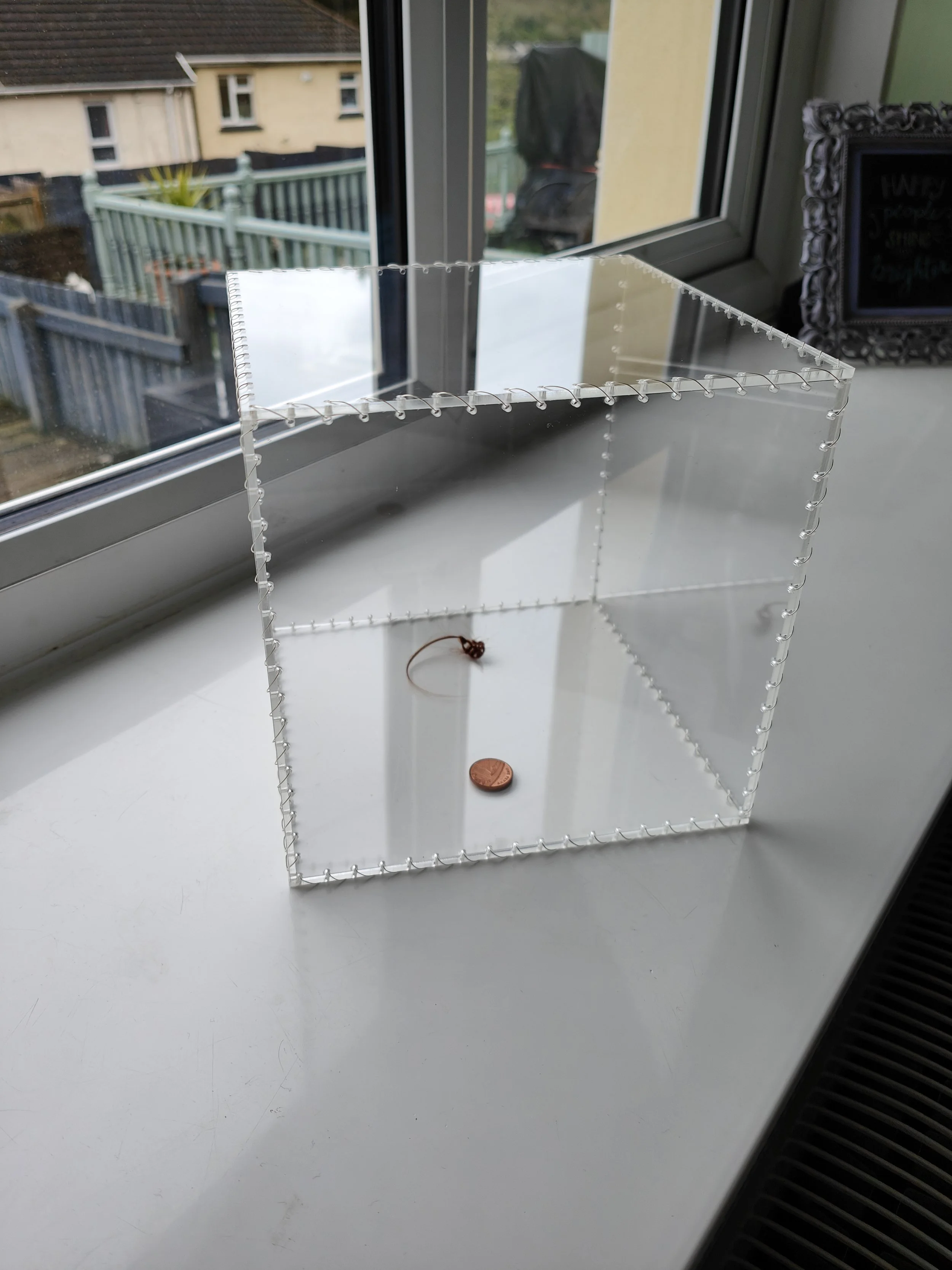 'Spent' 25cm² Acrylic, wire, penny, human hair