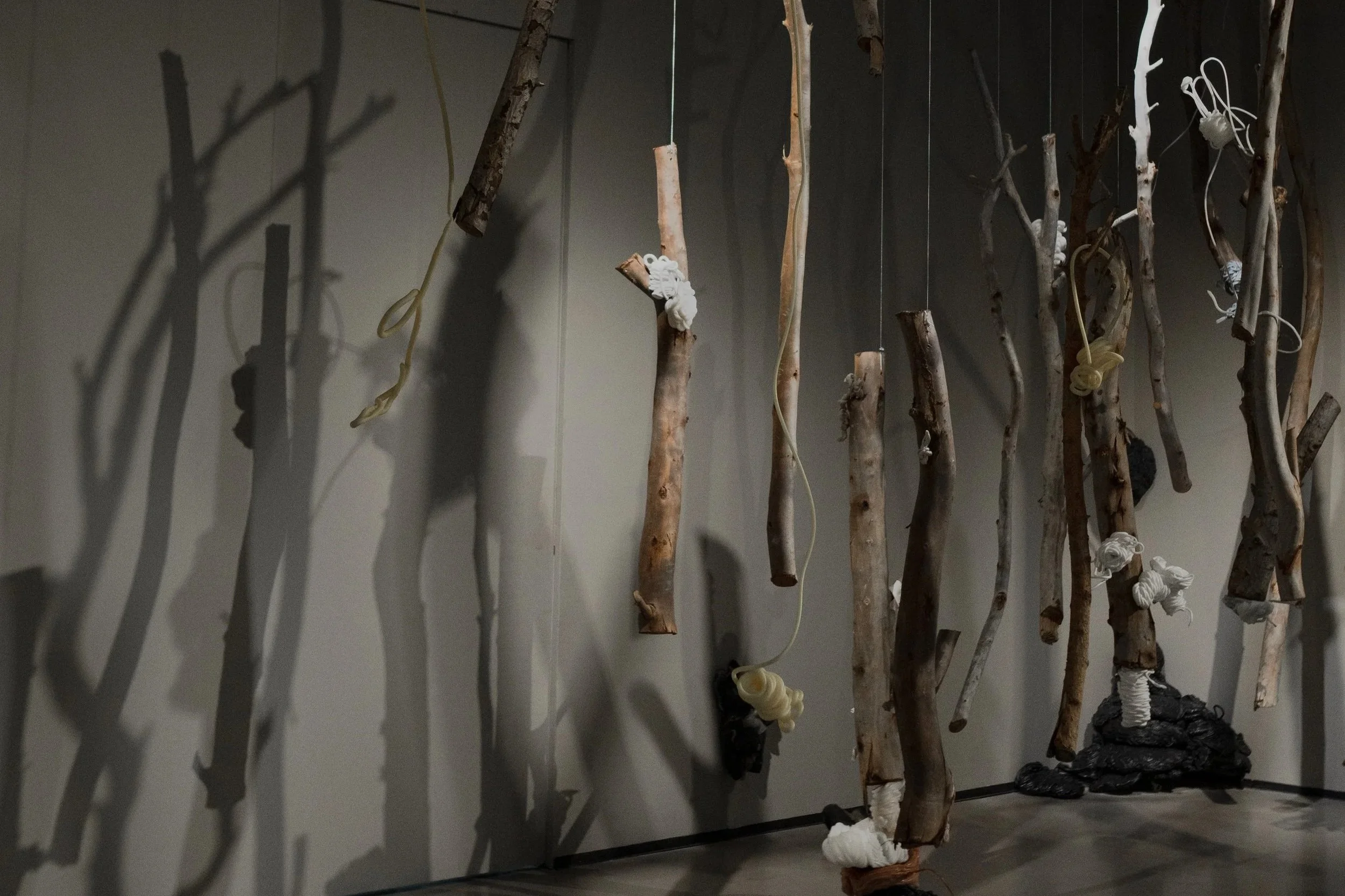 Monument to Freedom / group exhibition