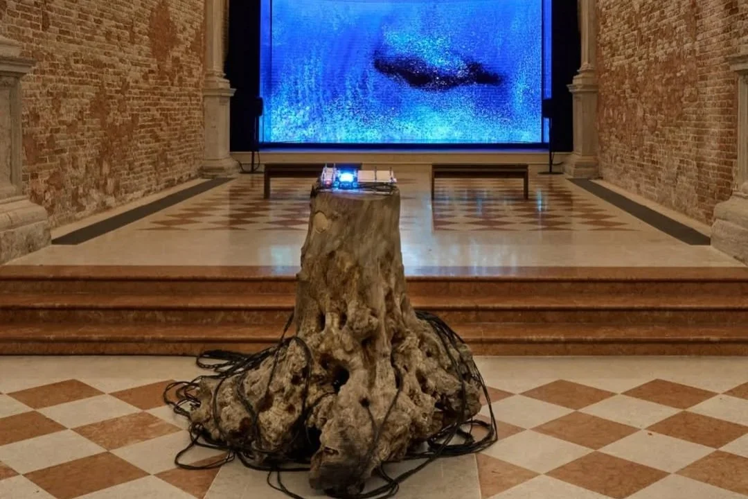 Biennale Arte 2026 | As Above, So Below
