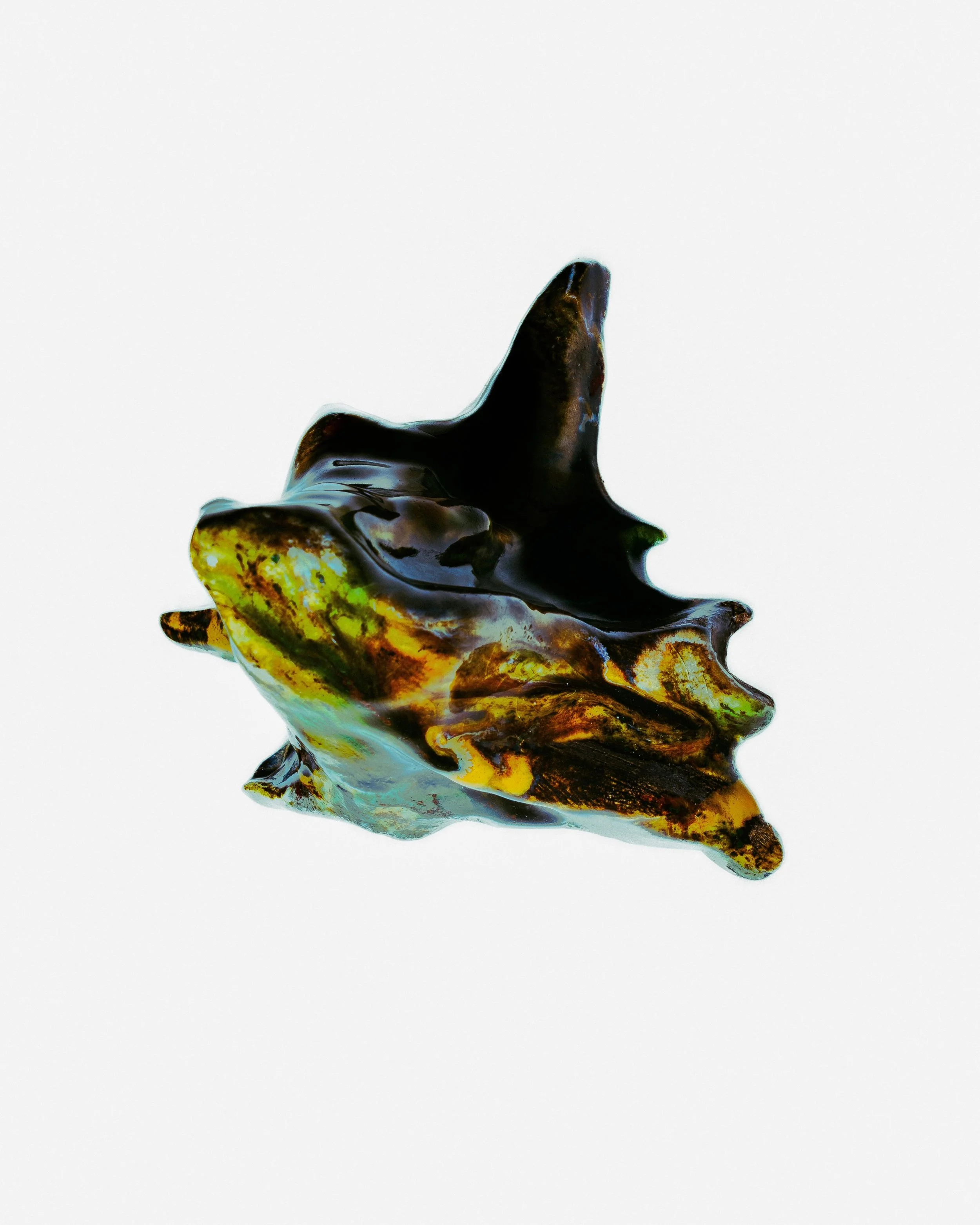 PHOTO-2025-02-03-21-25-52 2.jpg