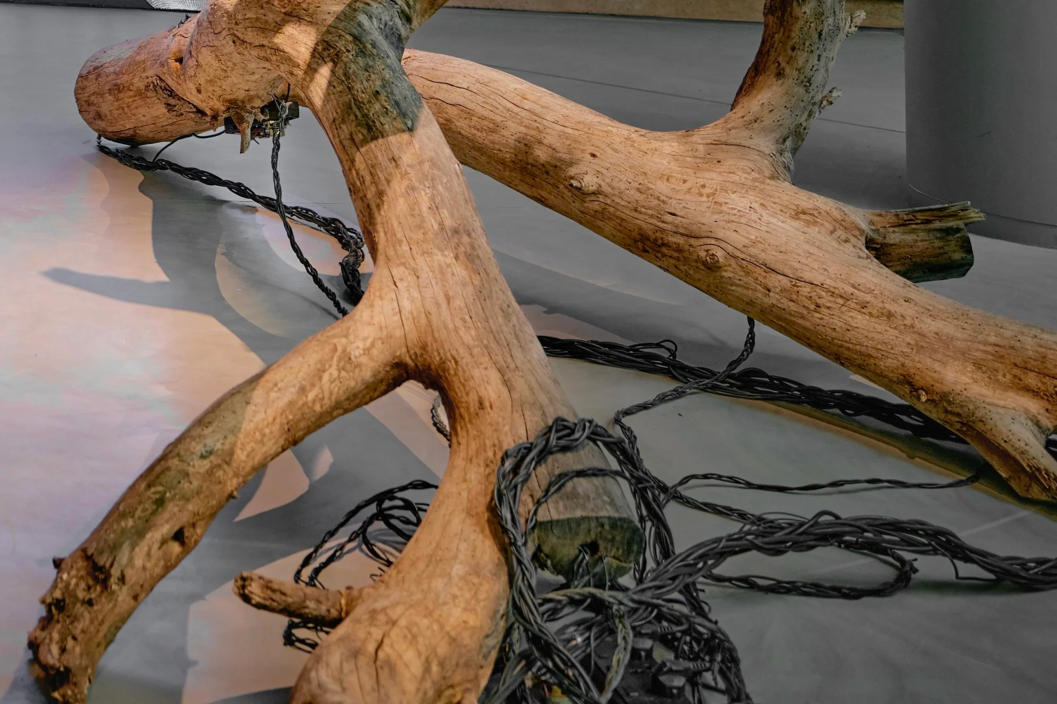 Of the Earth: Earthly Technologies to Computational Biologies