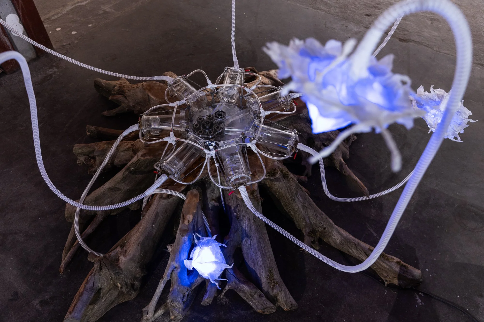 20250524_BBA_PhotoArtistPrize_SR35307.jpg