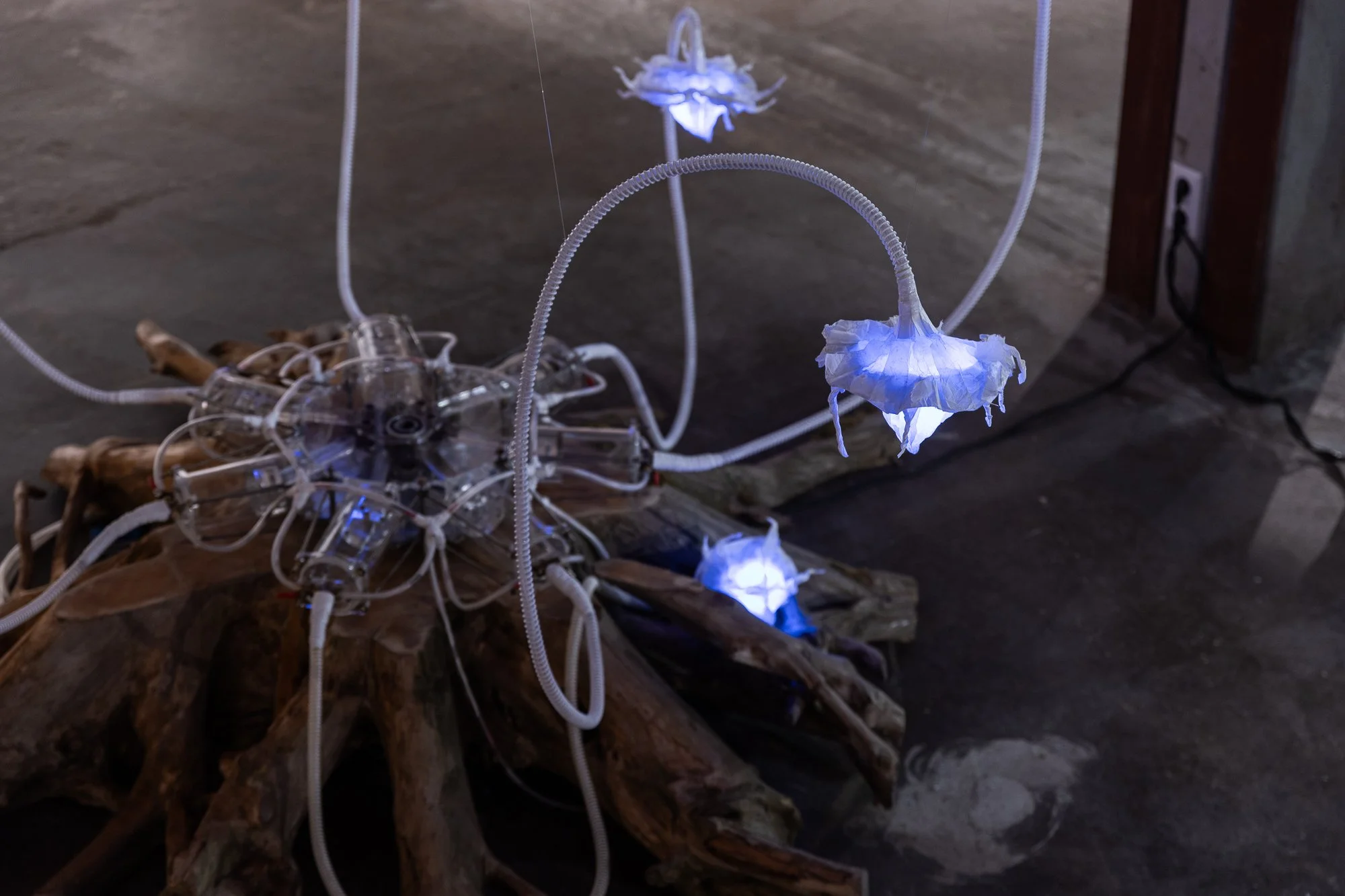 20250522_BBA_PhotoArtistPrize_SR33013.jpg