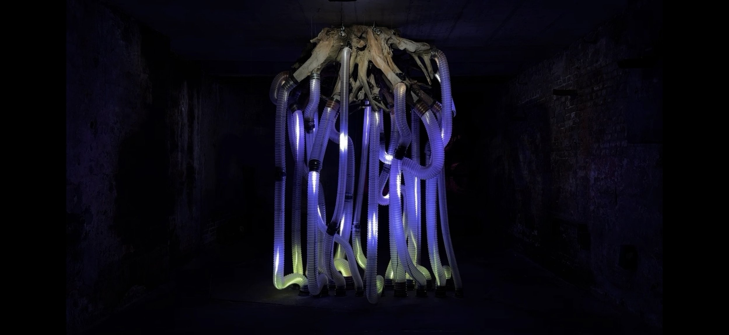 Synth-ESYS (SE-01) Ecological Synthesis System: Berlin Node, 2026