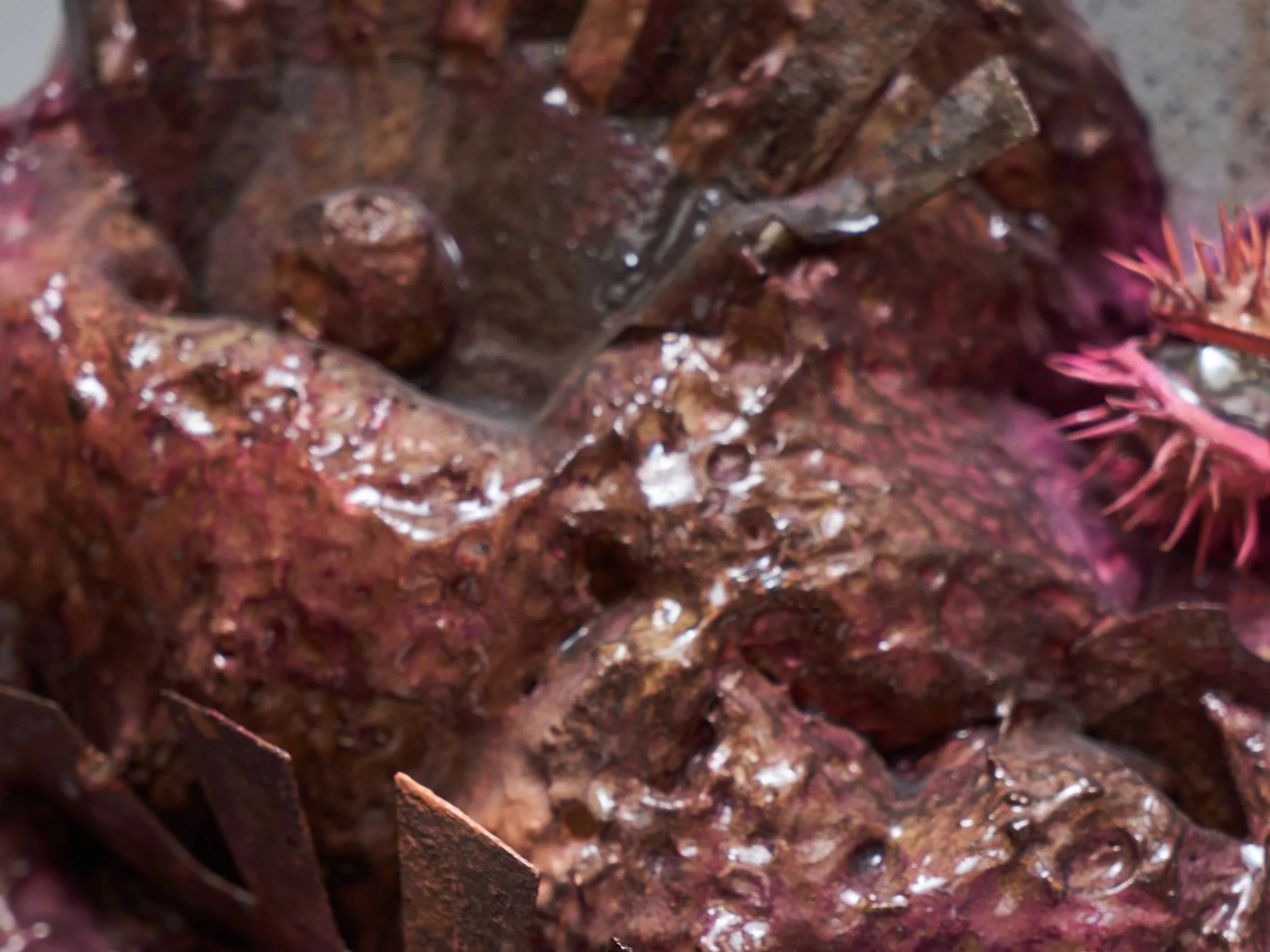 Radix: Radical Root Explorations