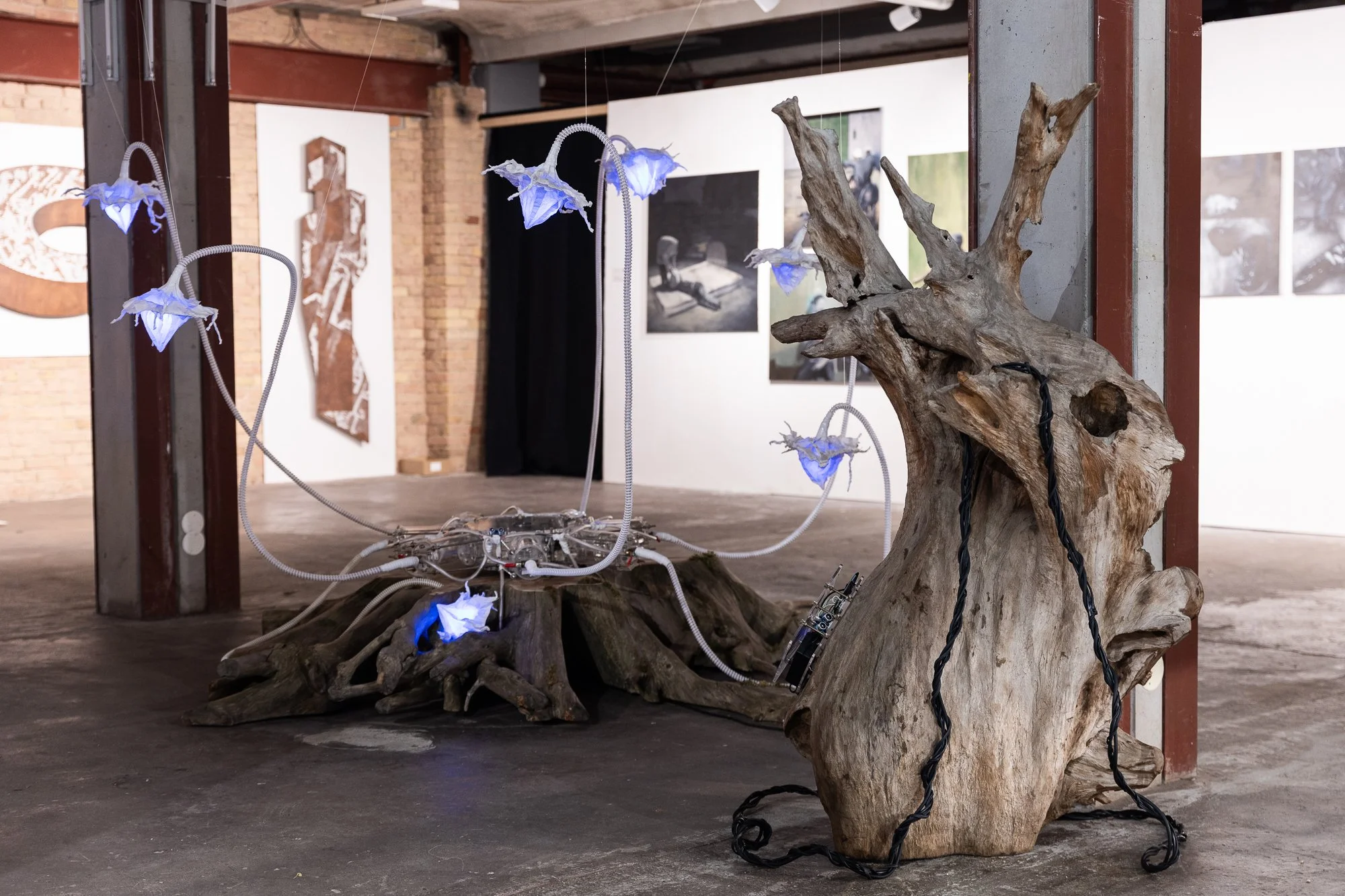 20250522_BBA_PhotoArtistPrize_SR33025.jpg