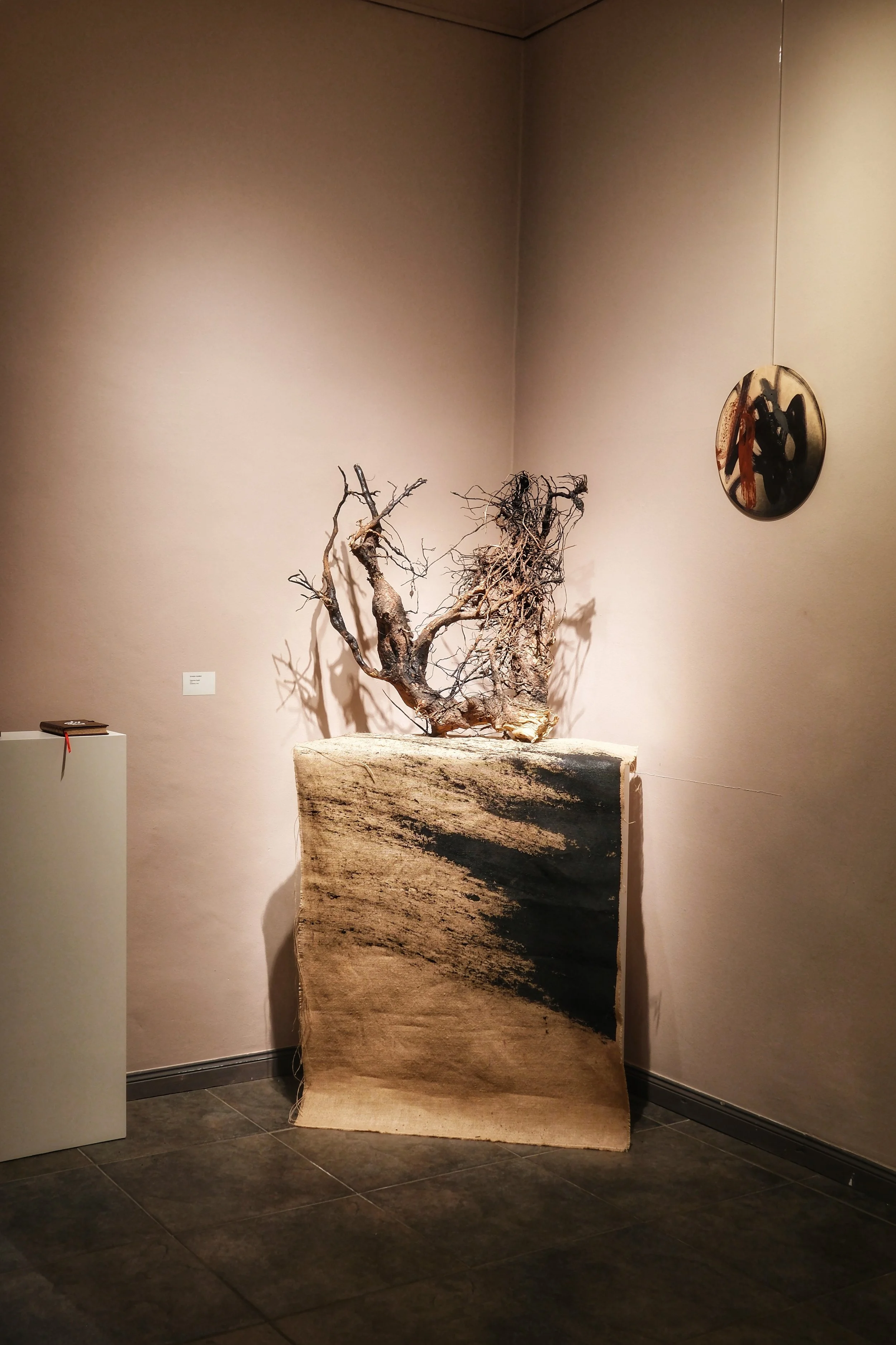 DSCF9684.JPG