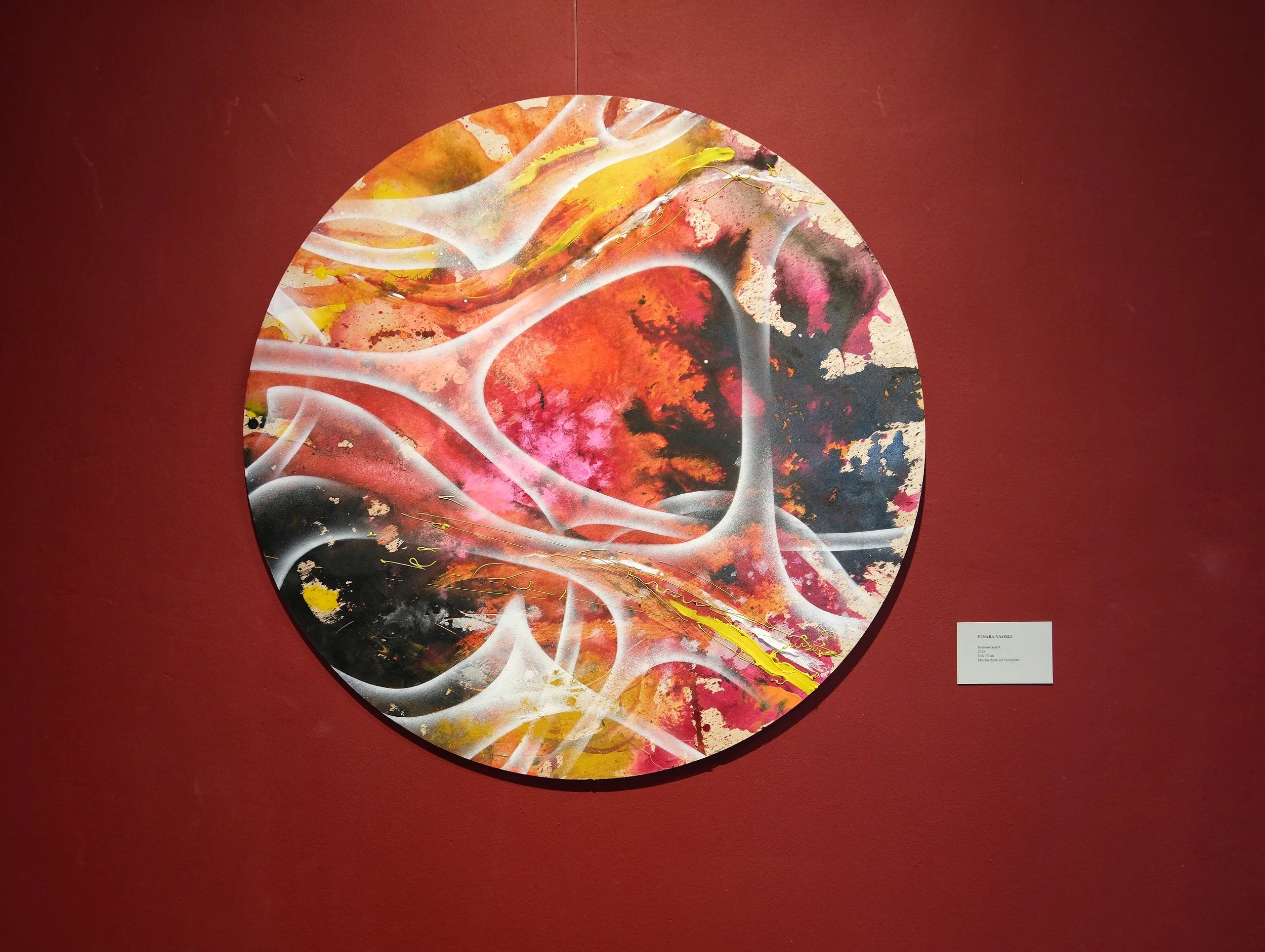 DSCF9680.JPG
