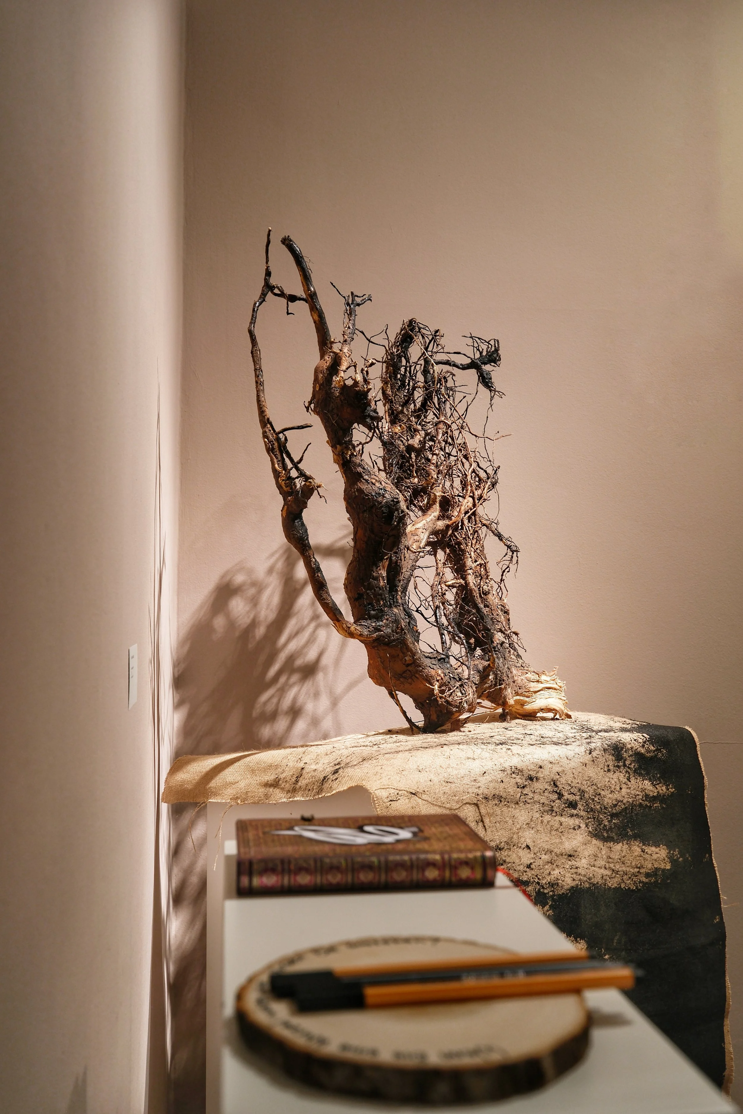 DSCF9685.JPG