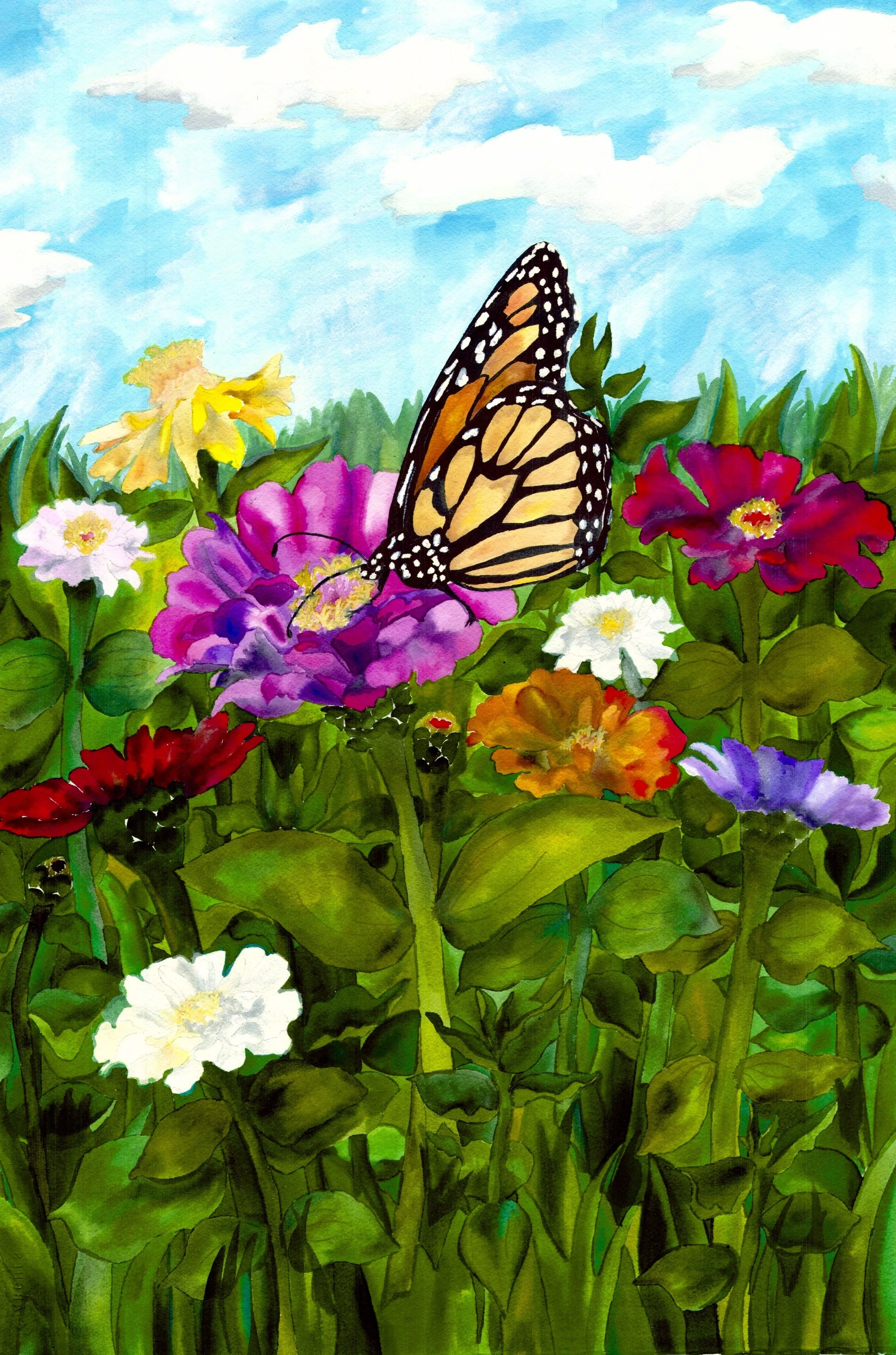 Pages from Portfolio Scans Butterfly JPG.jpeg