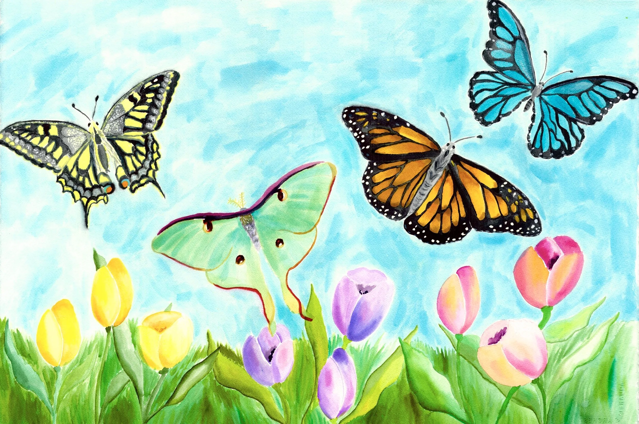 butterflies scan jp.jpeg