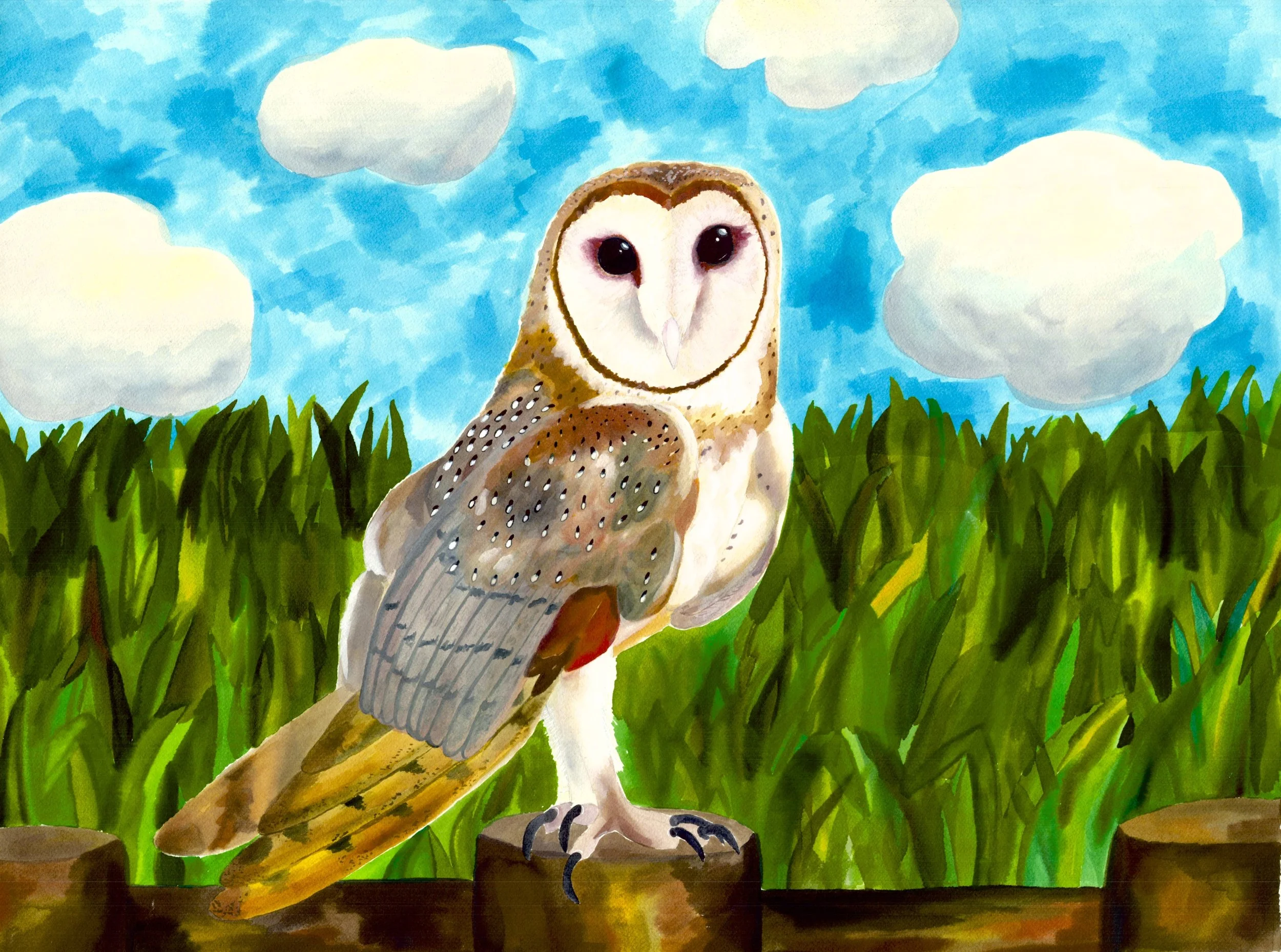 Pages from Portfolio Scans Owl JPG.jpeg