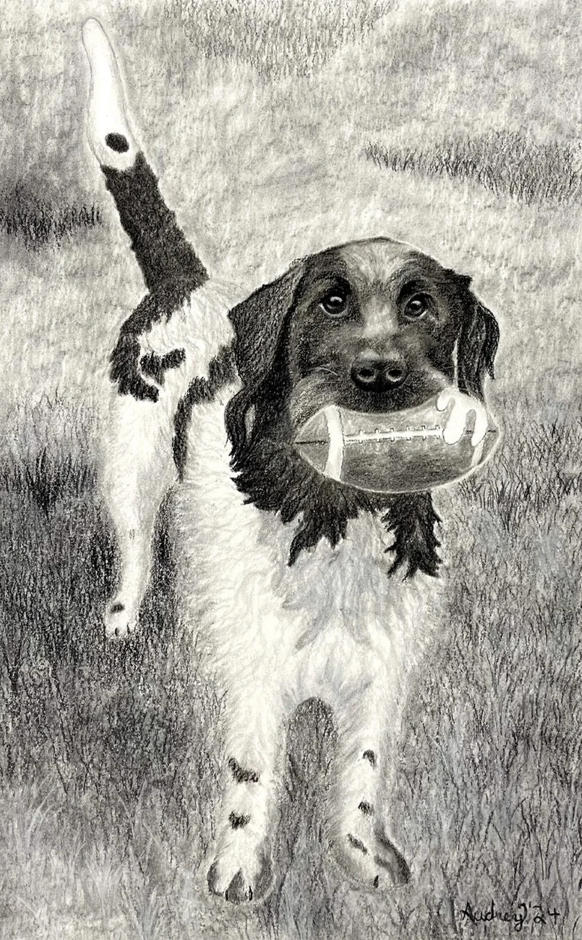 CHARCOALdog.jpeg