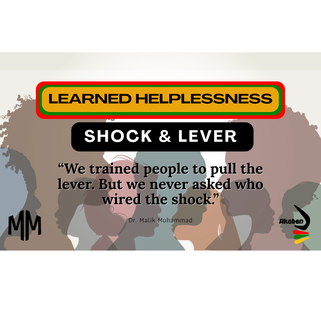 The Shock & the Lever: Rethinking Leadership in Systems that Bruise