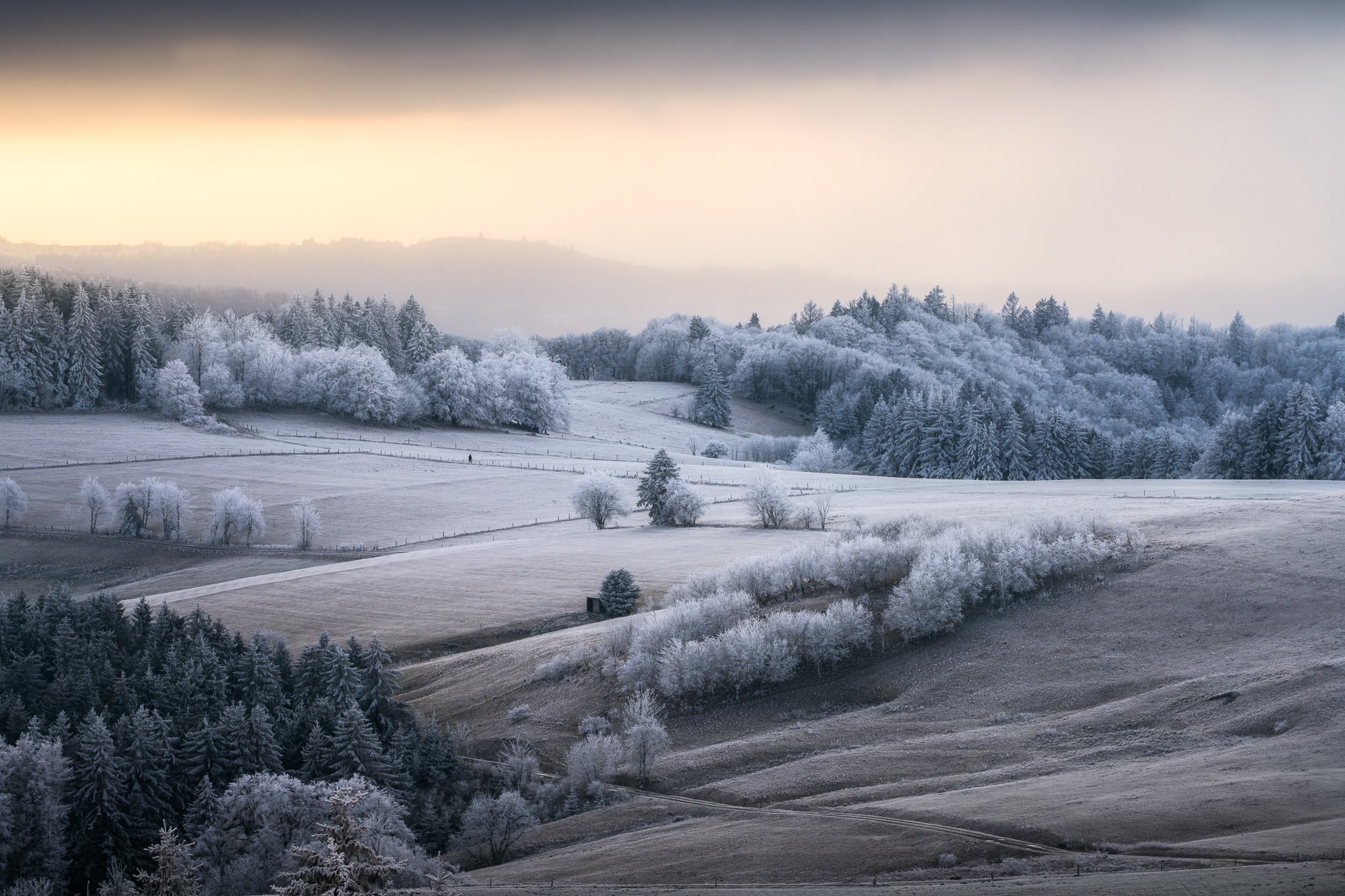 bearbeitet--9.jpg