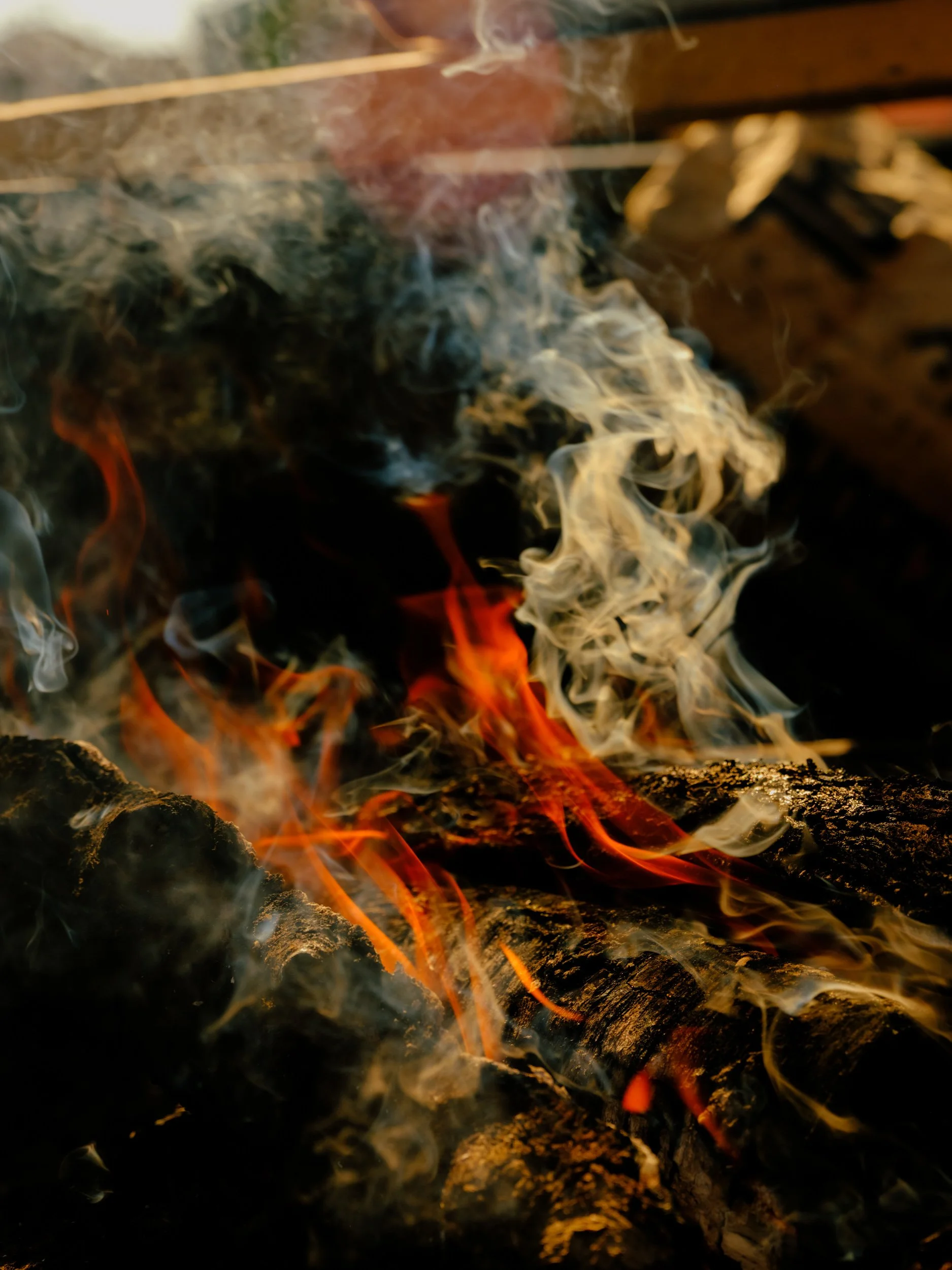 DSCF8326.jpg