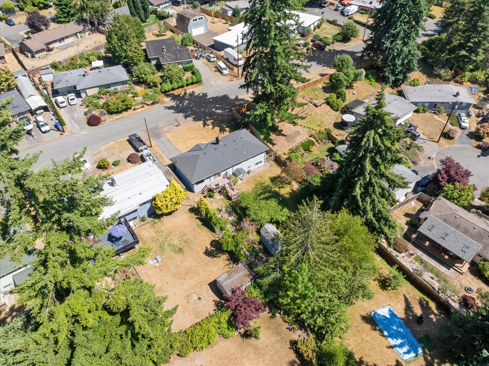 54-DJI_20250703151025_0089_D.jpg