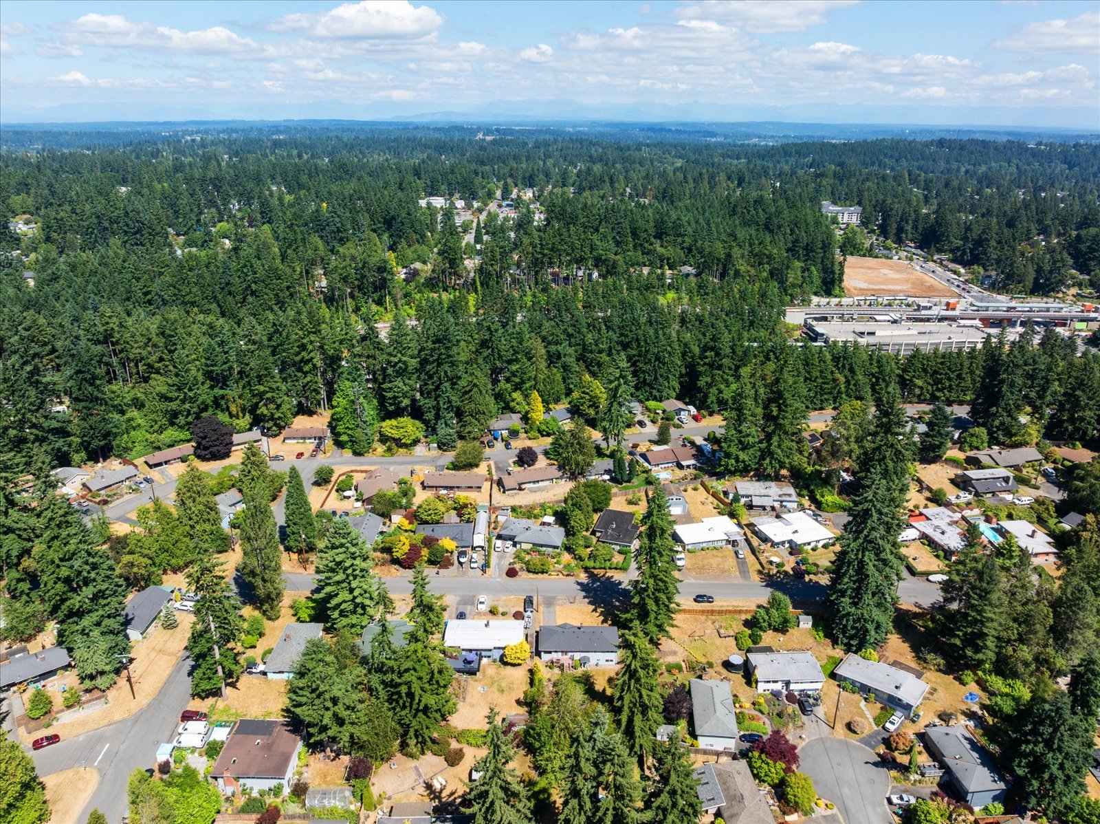 57-DJI_20250703151146_0099_D.jpg