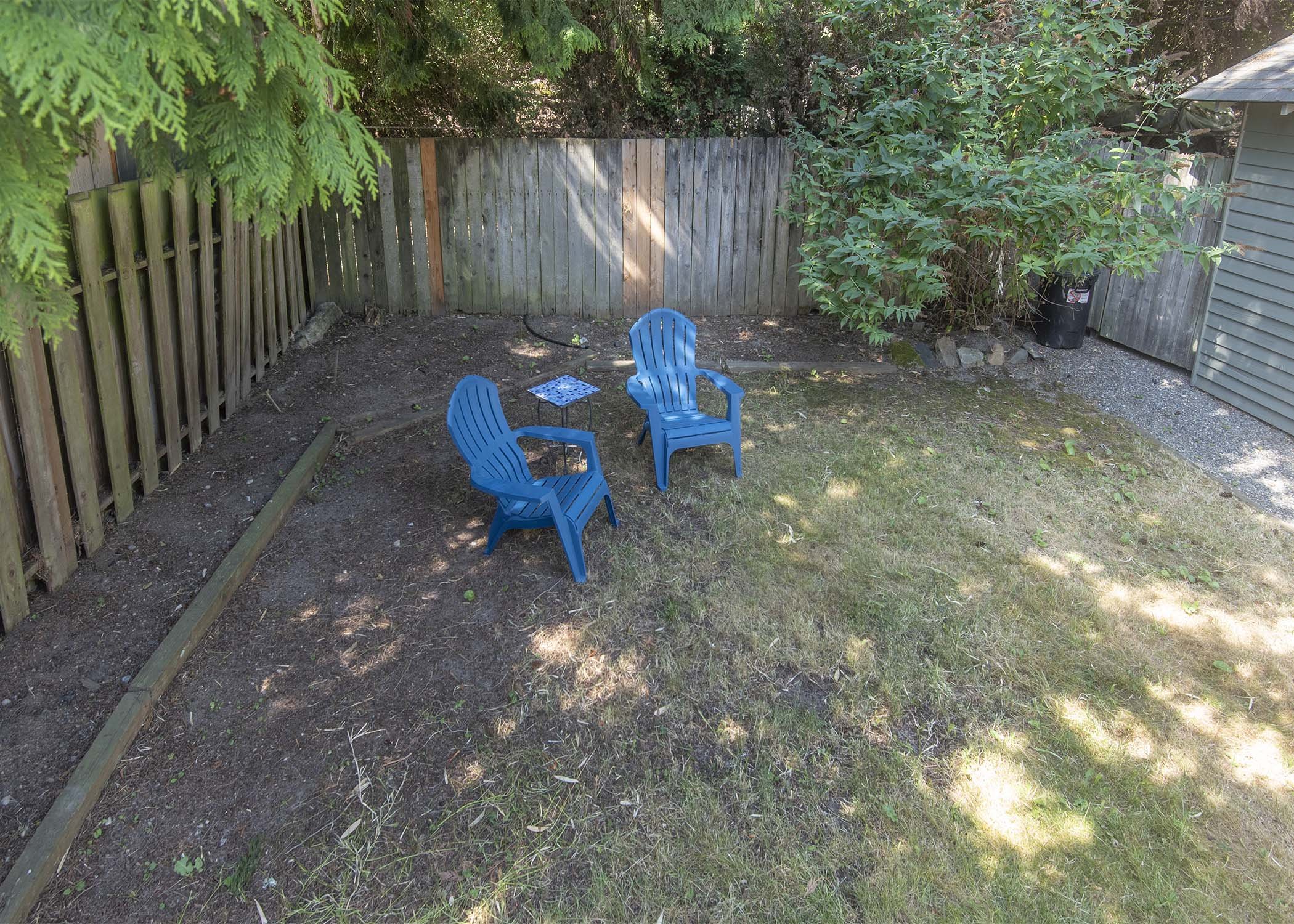 yard 1.jpg