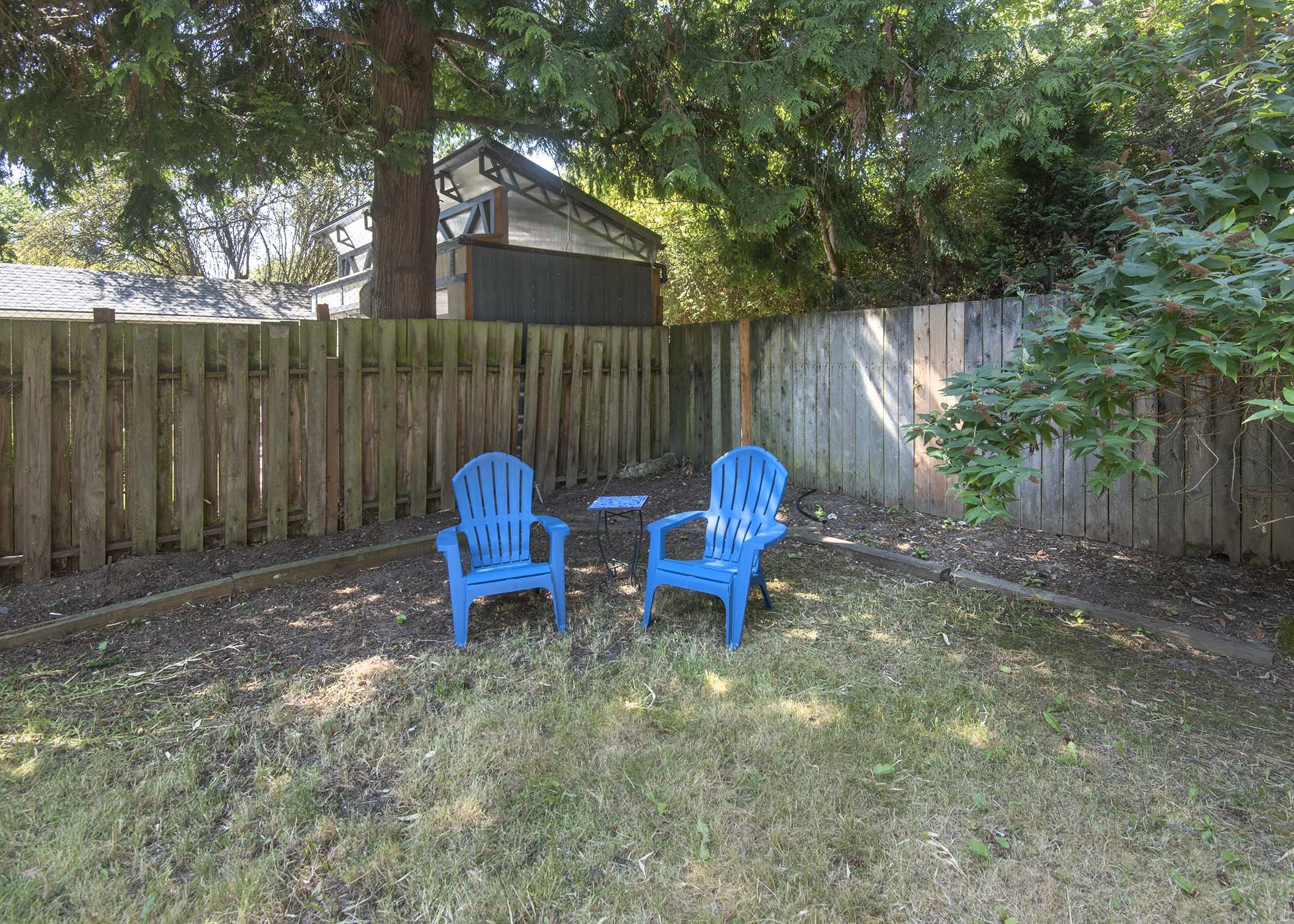 yard 2.jpg
