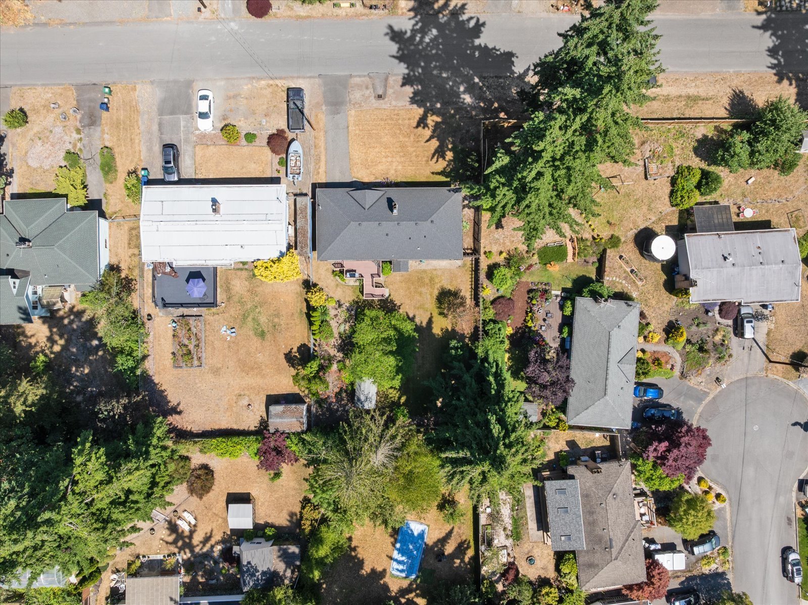 52-DJI_20250703150956_0084_D.jpg