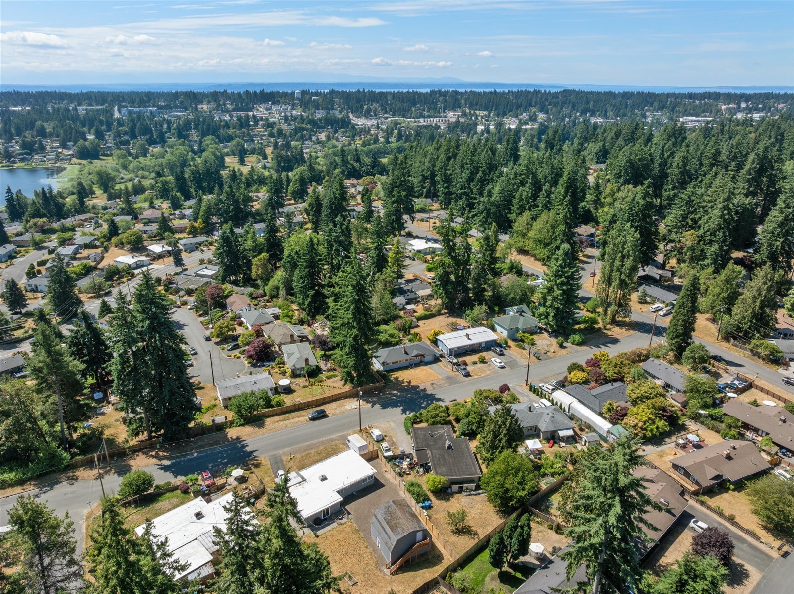 50-DJI_20250703150843_0079_D.jpg