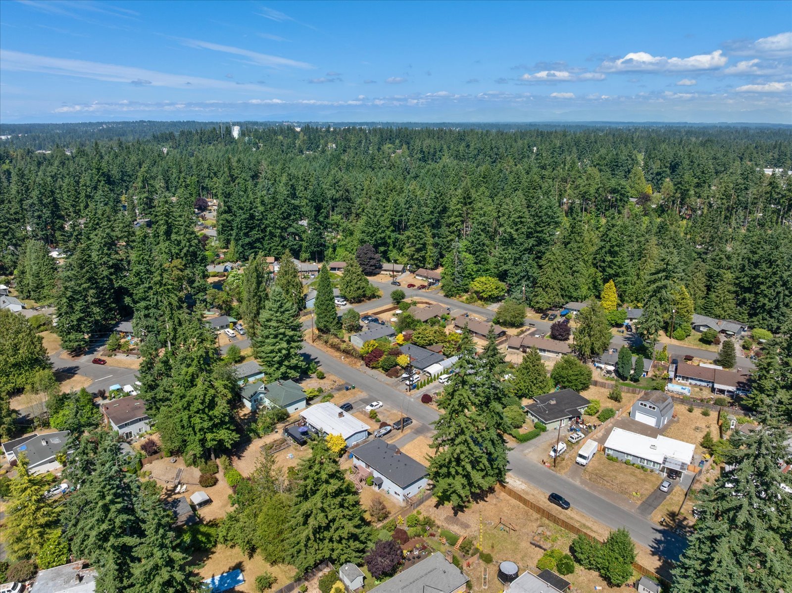 59-DJI_20250703151503_0125_D.jpg