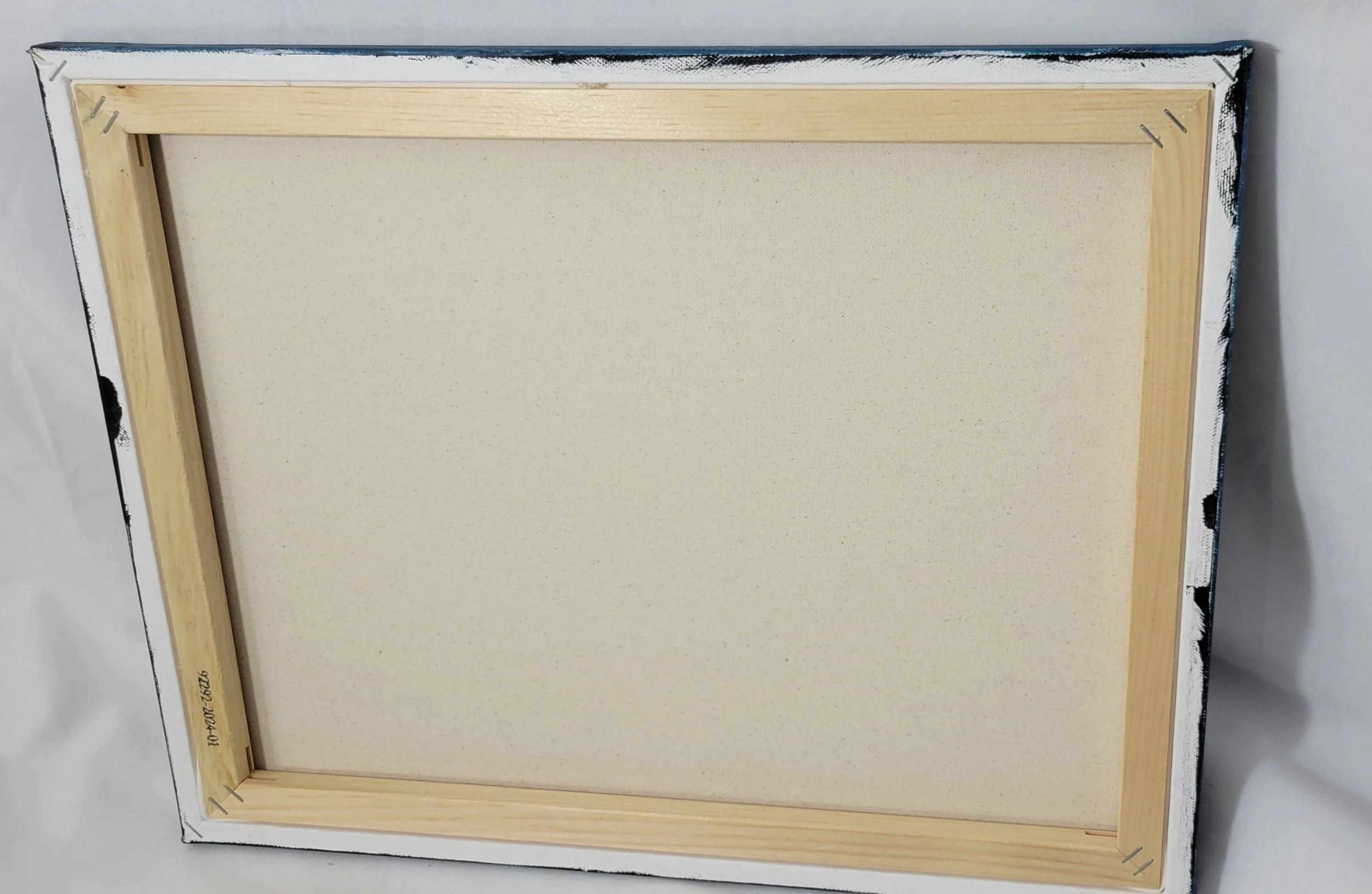 Back of Canvas.jpg