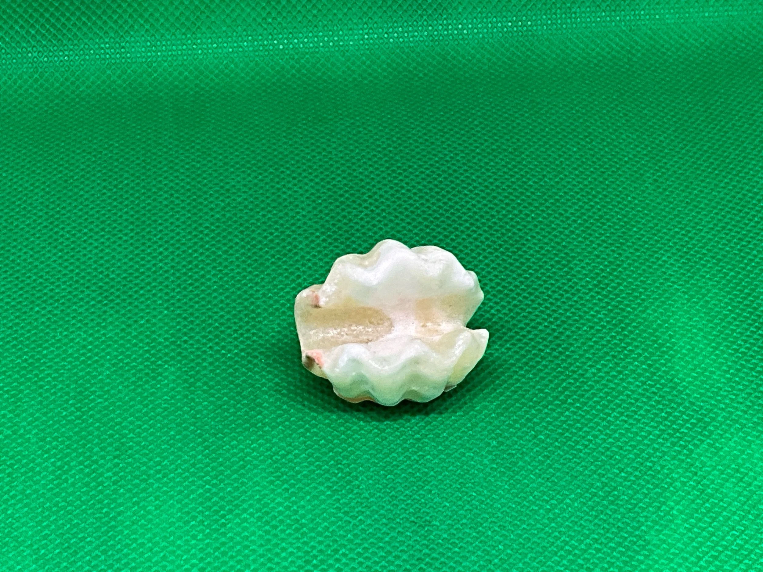 0324272D-3D4A-446C-8DE3-3F6A99EF280E.jpeg