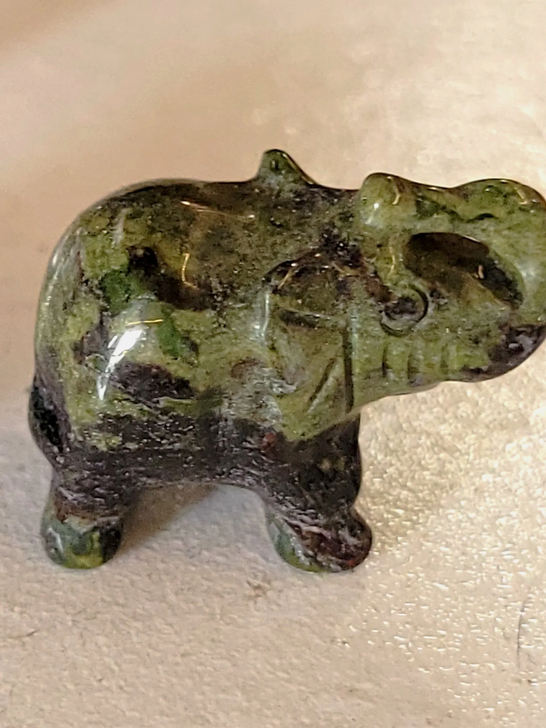 20260205_152755.jpg