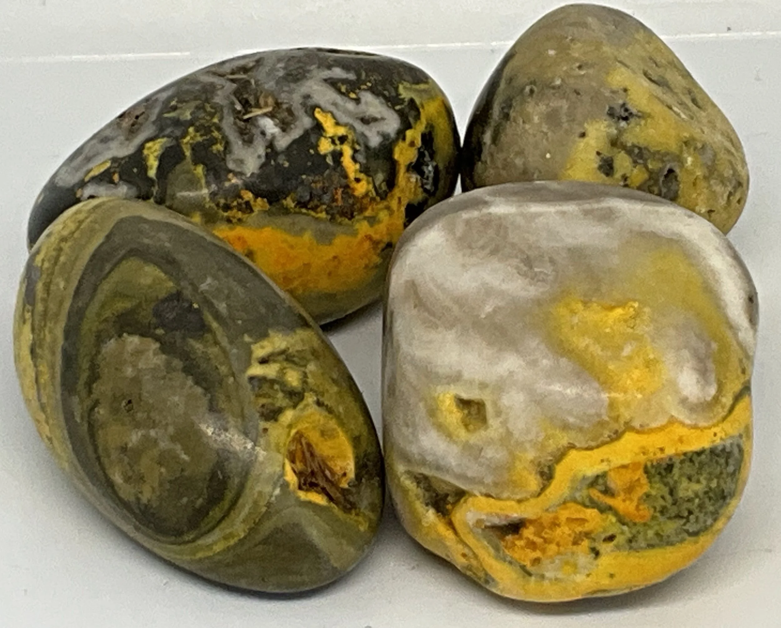Bumblebee Jasper Tumbles