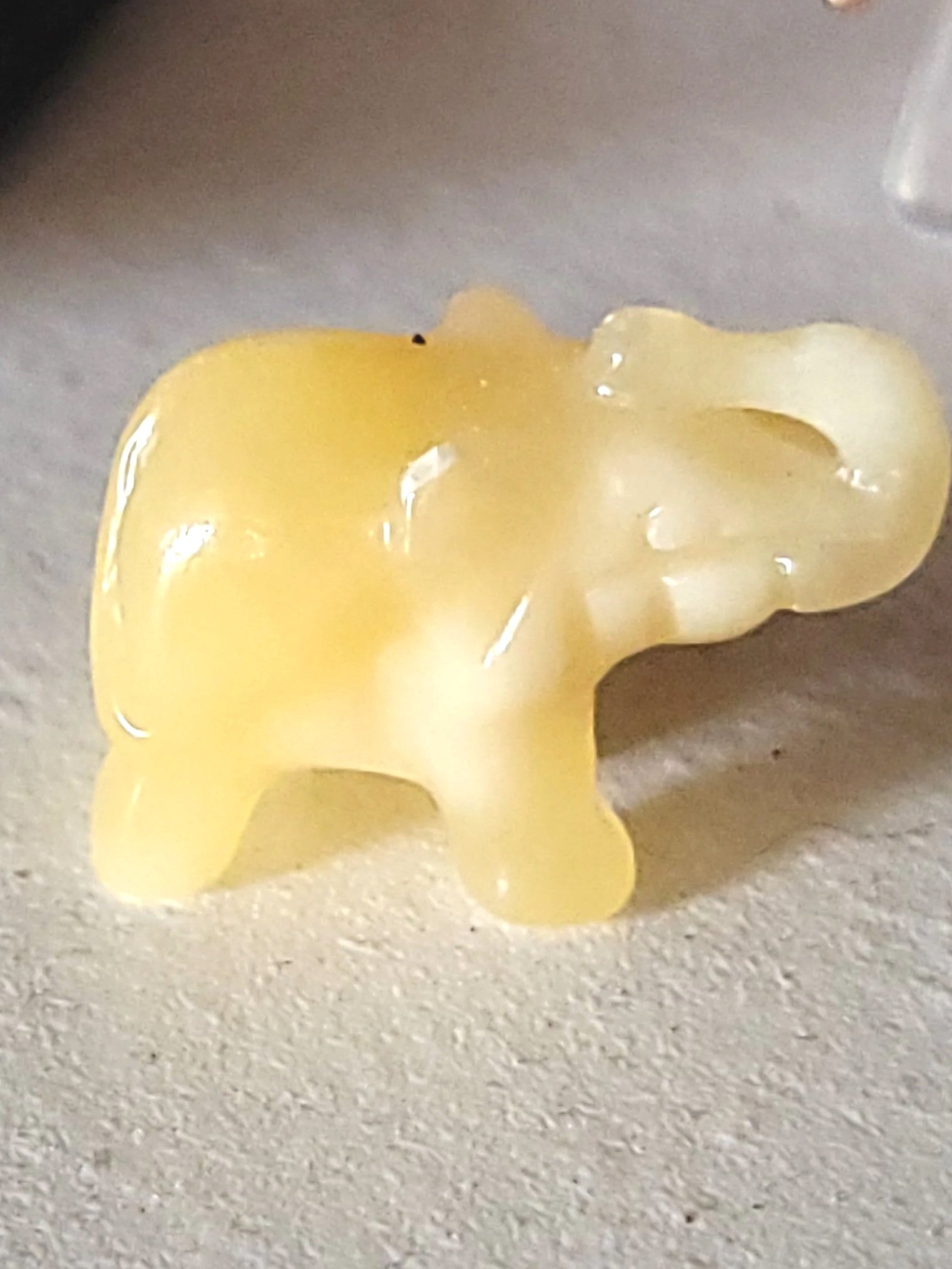 20260205_152805.jpg