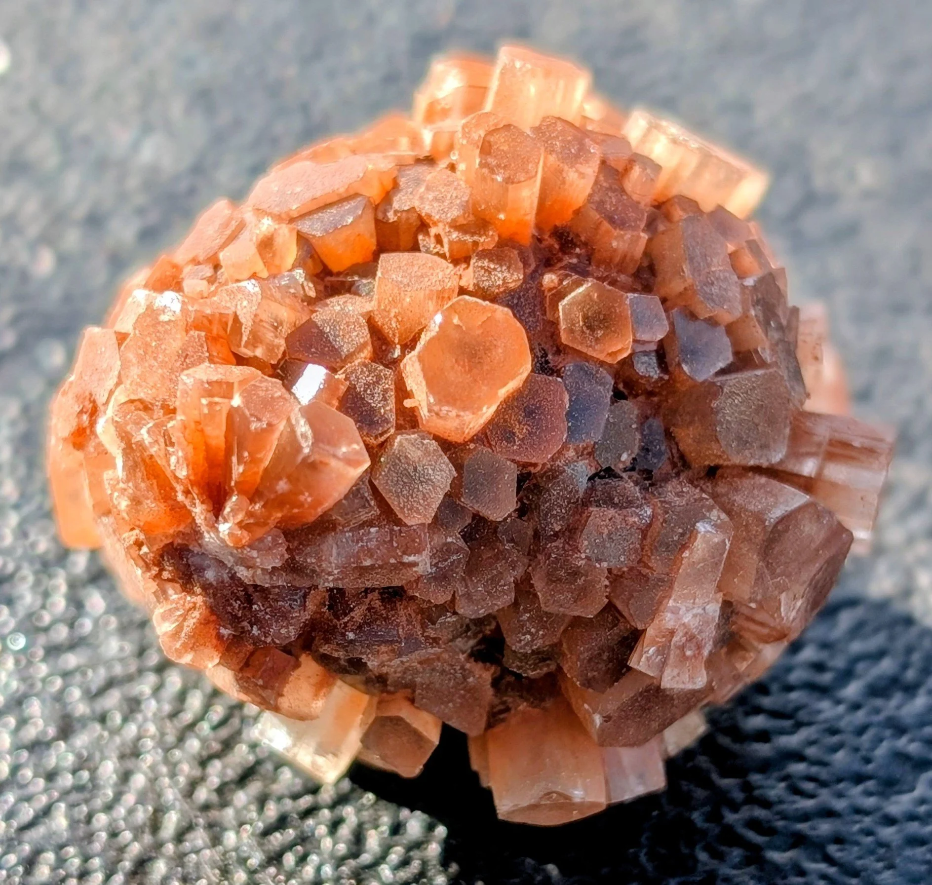 Aragonite Sm Glamour 2.jpg