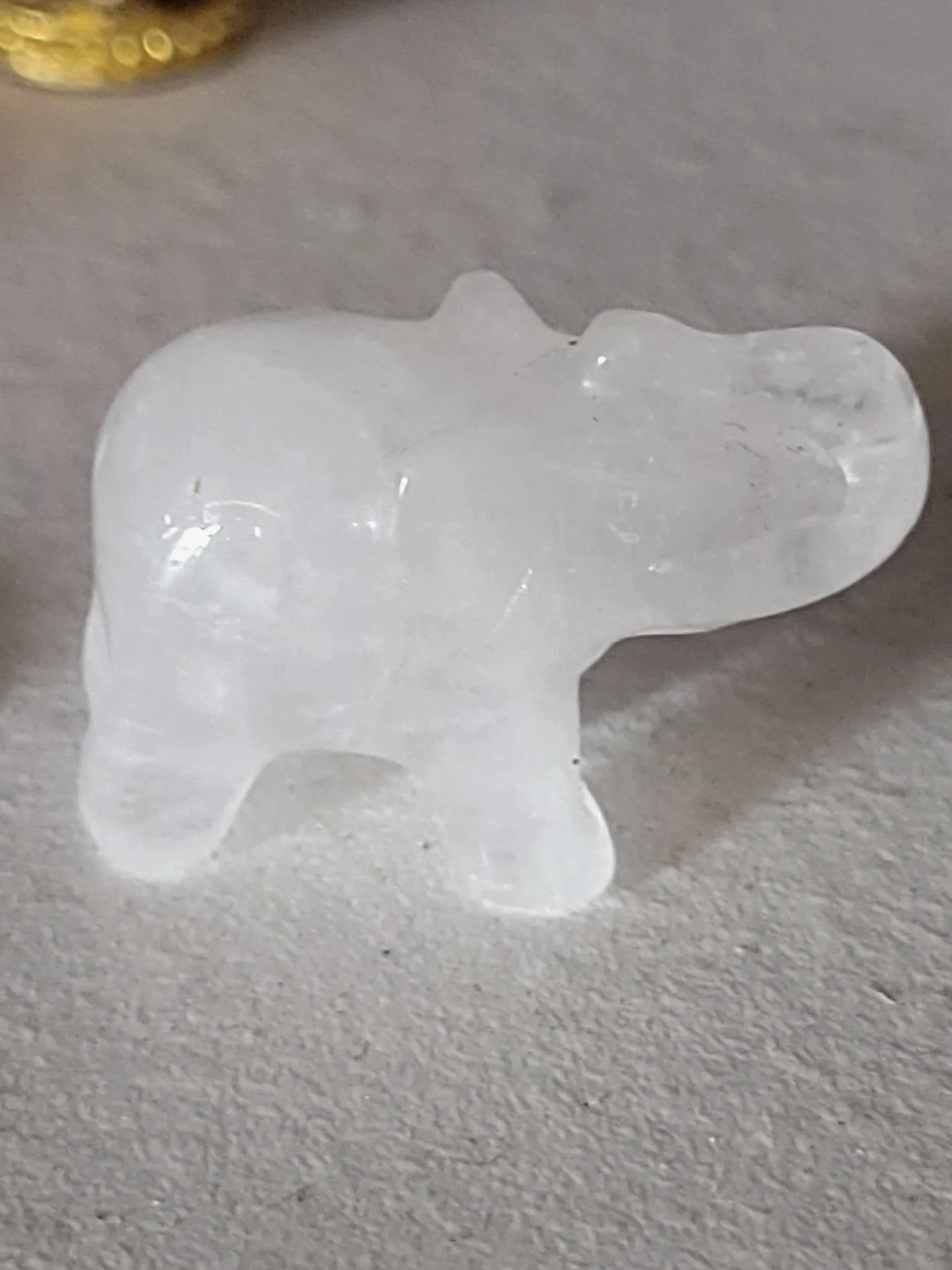 20260205_152800.jpg