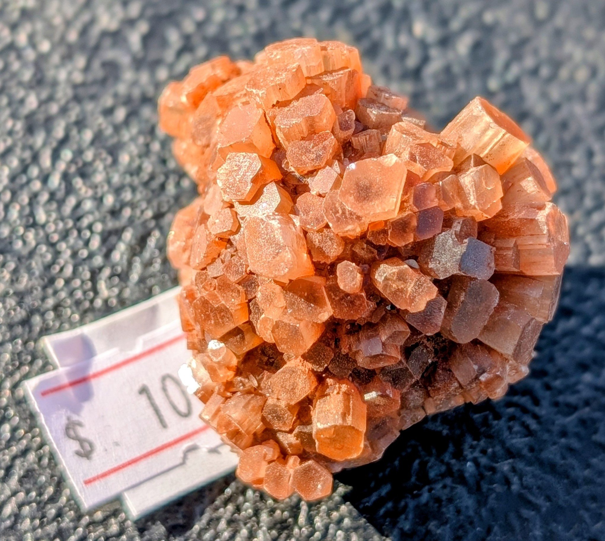 Aragonite Sm Glamour 1.jpg