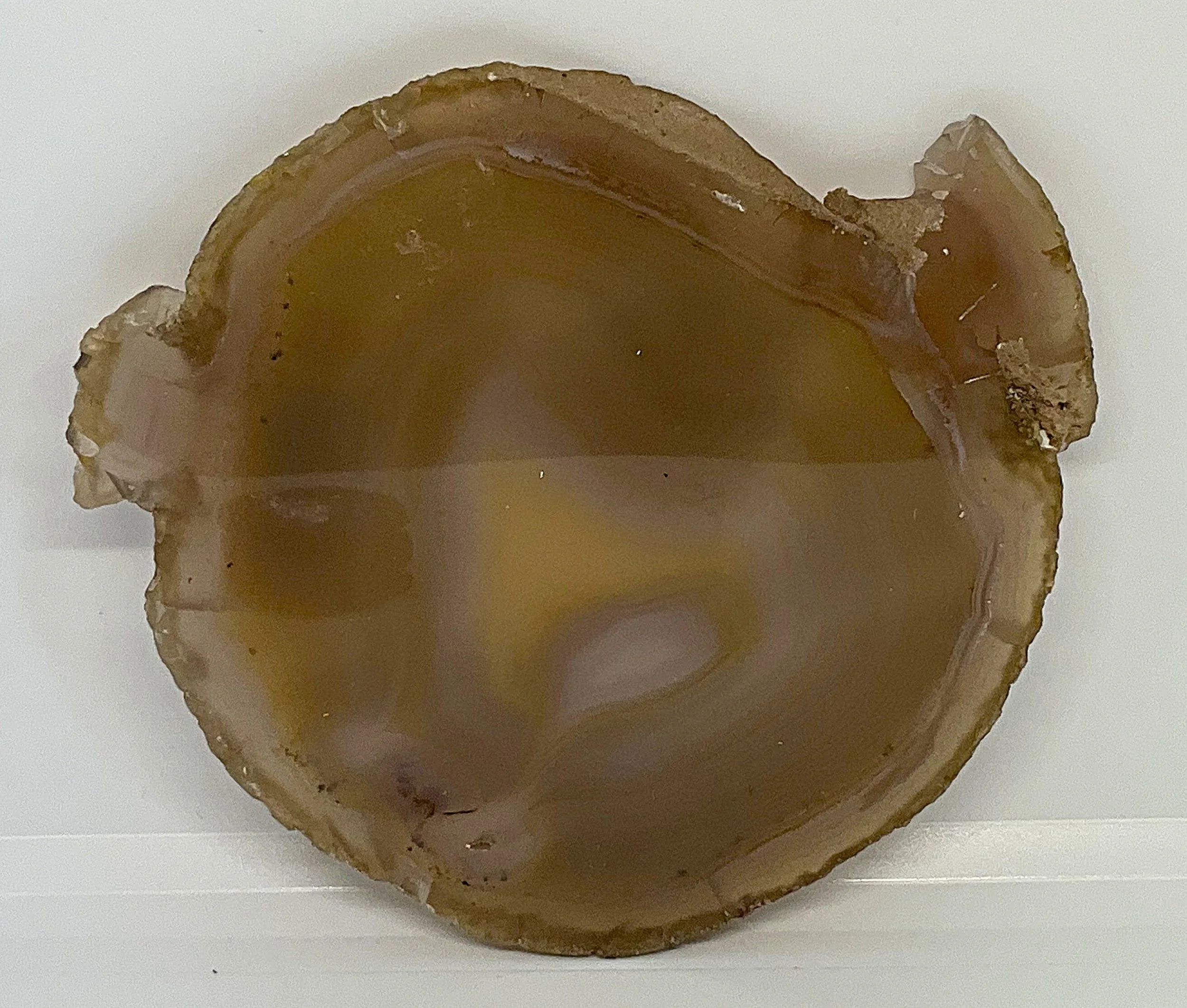 Banded Agate Slice.jpg