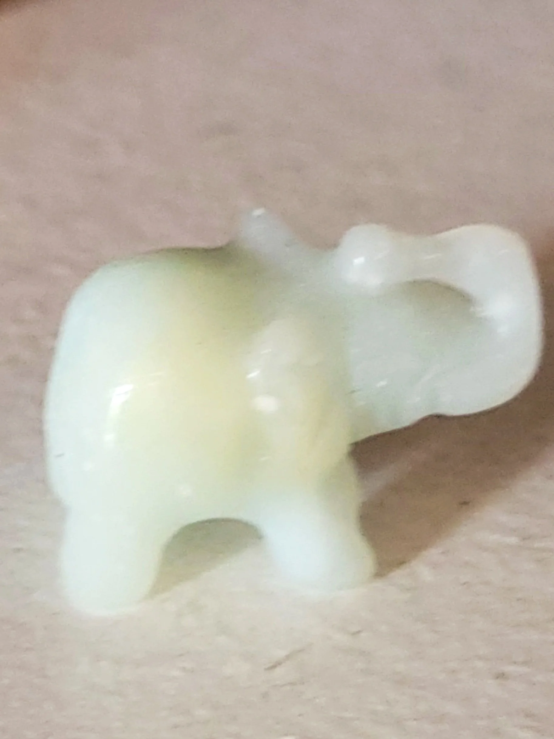 20260205_152757.jpg