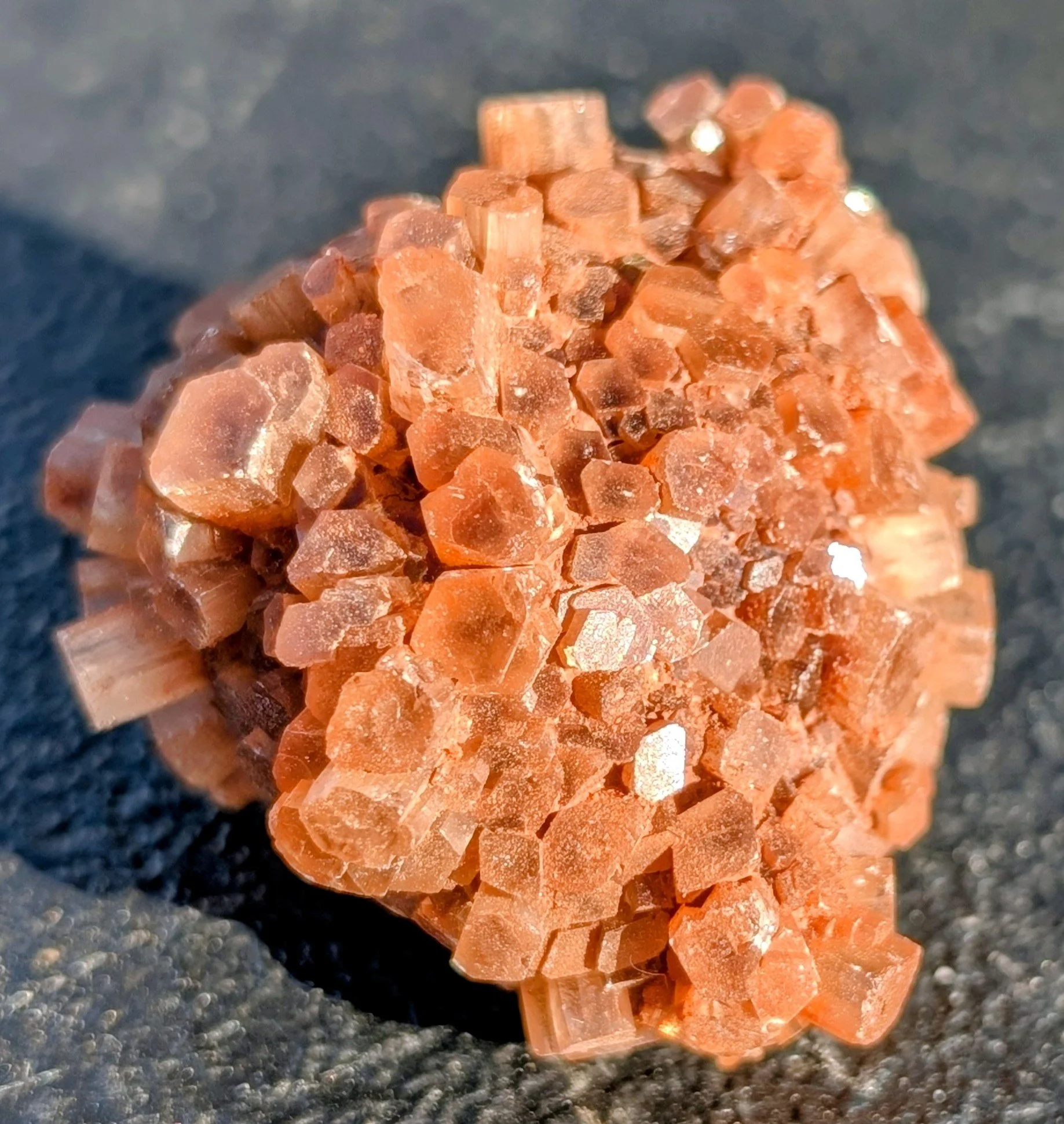 Aragonite Sm Glamour 3.jpg